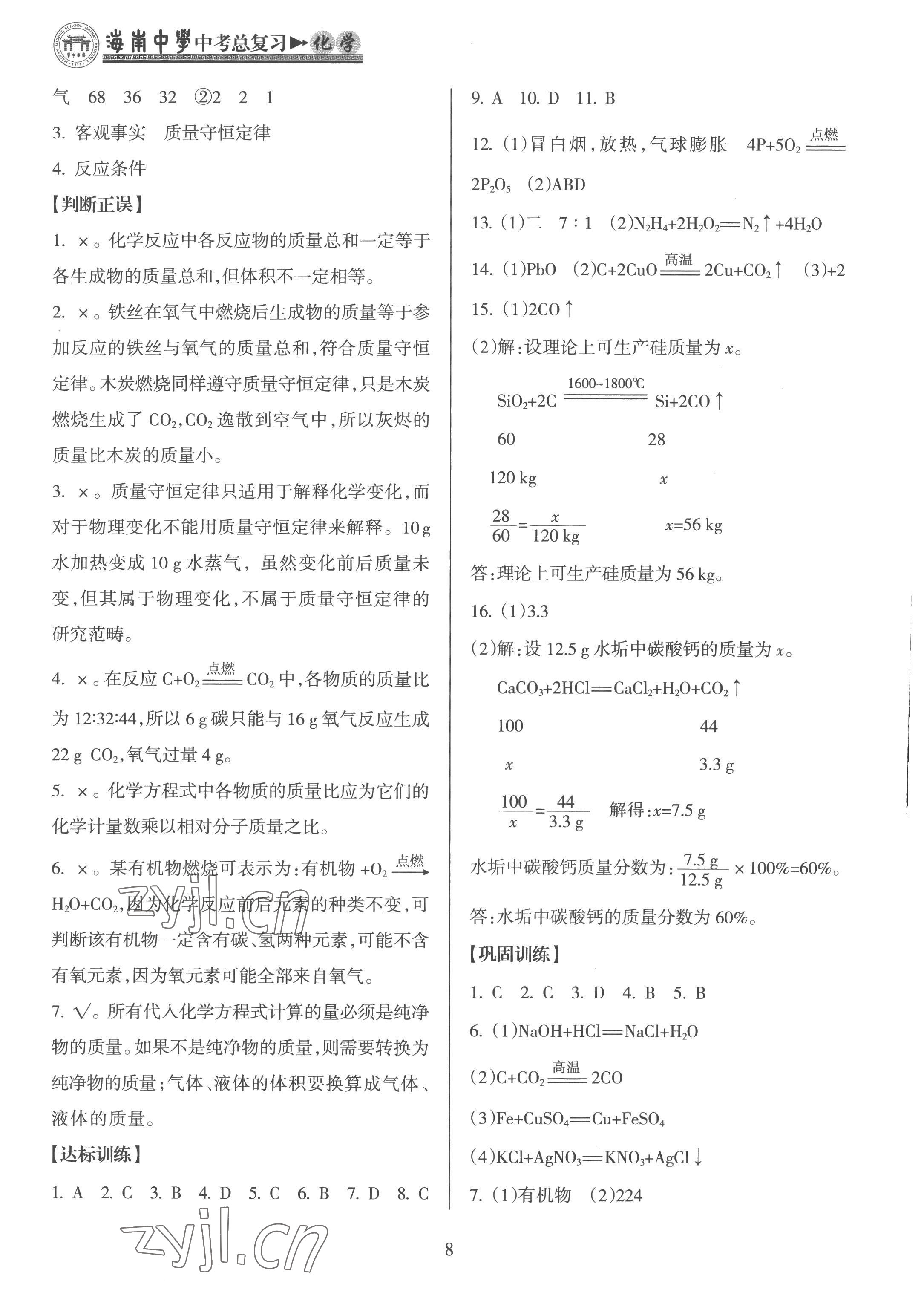 2023年海南中學(xué)中考總復(fù)習(xí)化學(xué)人教版 參考答案第8頁