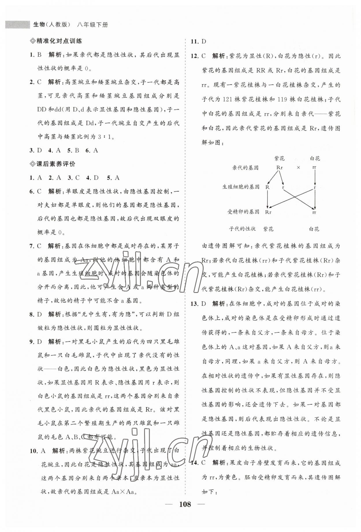 2023年新課程同步練習(xí)冊(cè)八年級(jí)生物下冊(cè)人教版 第8頁(yè)