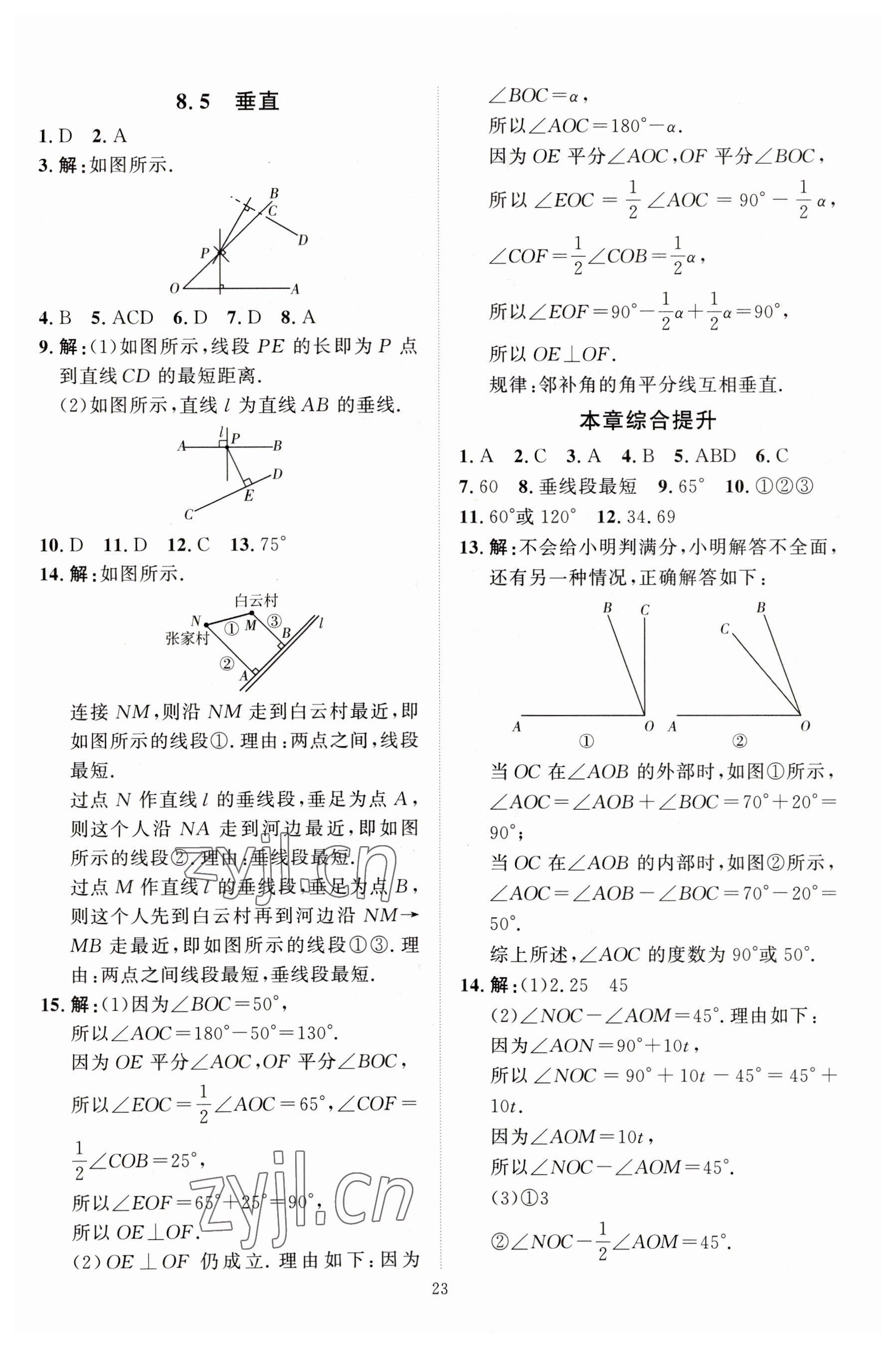 2023年优加学案课时通七年级数学下册青岛版潍坊专版 第5页