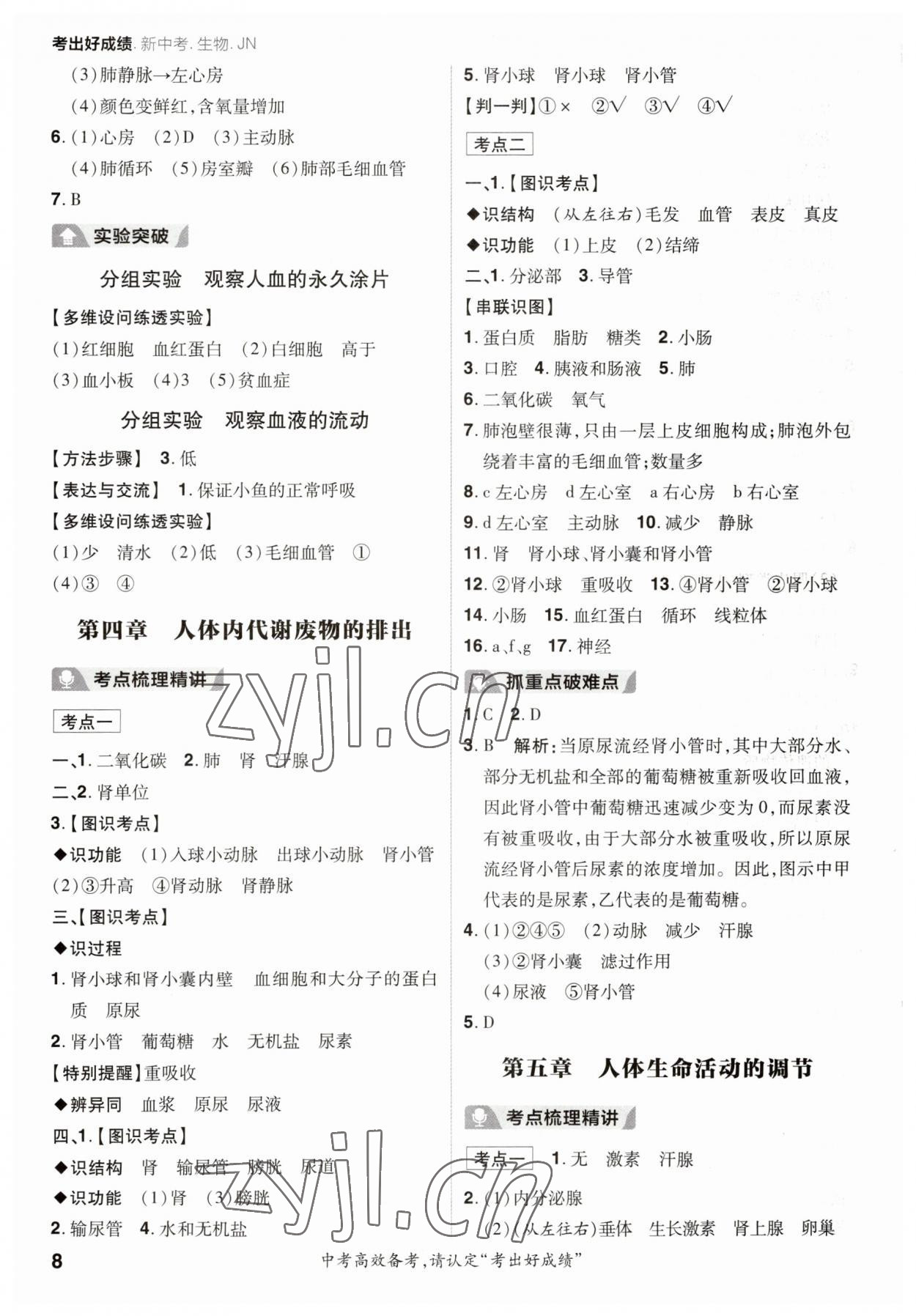 2023年考出好成績中考總復習生物濟南版 參考答案第7頁