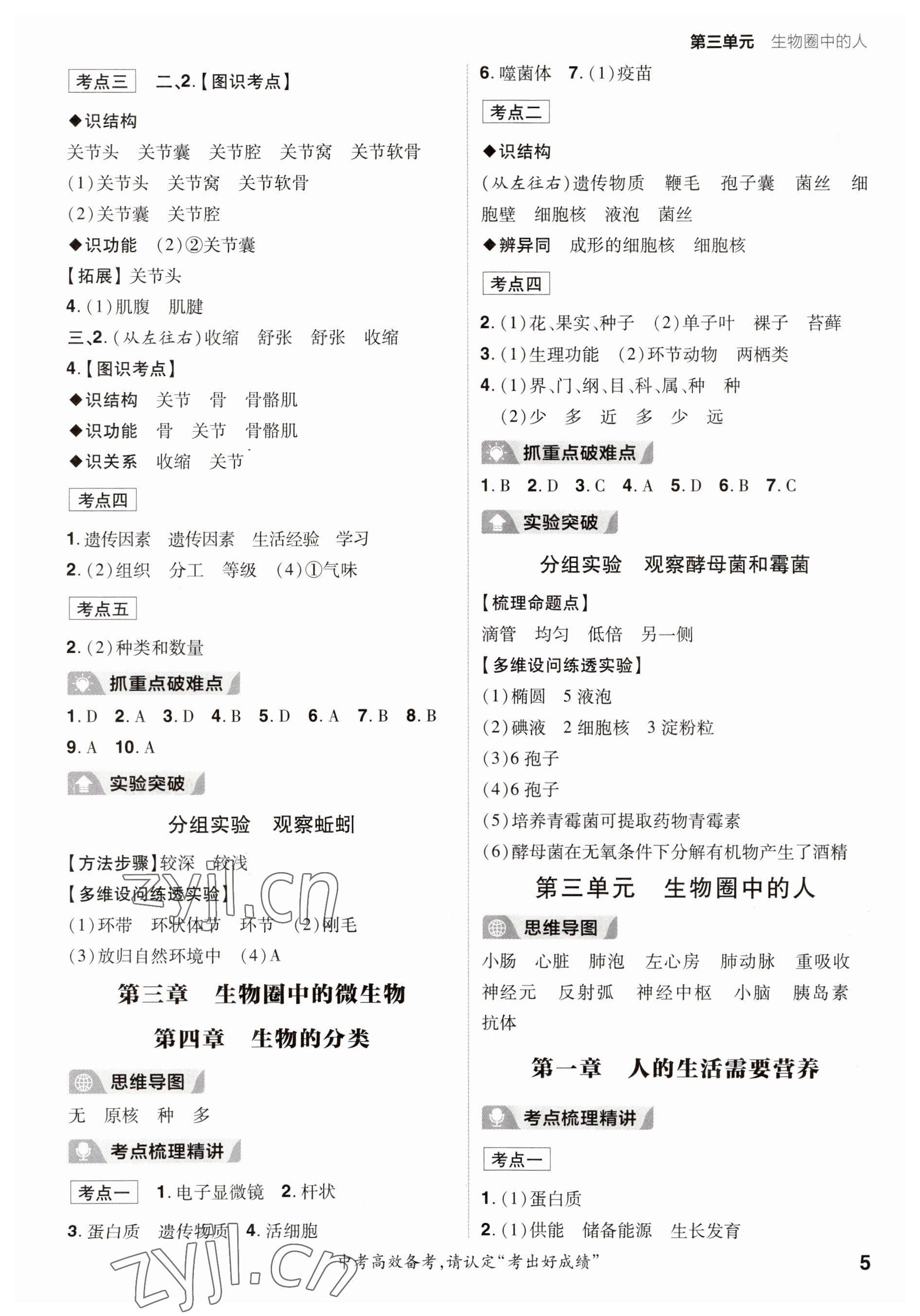 2023年考出好成績中考總復習生物濟南版 參考答案第4頁