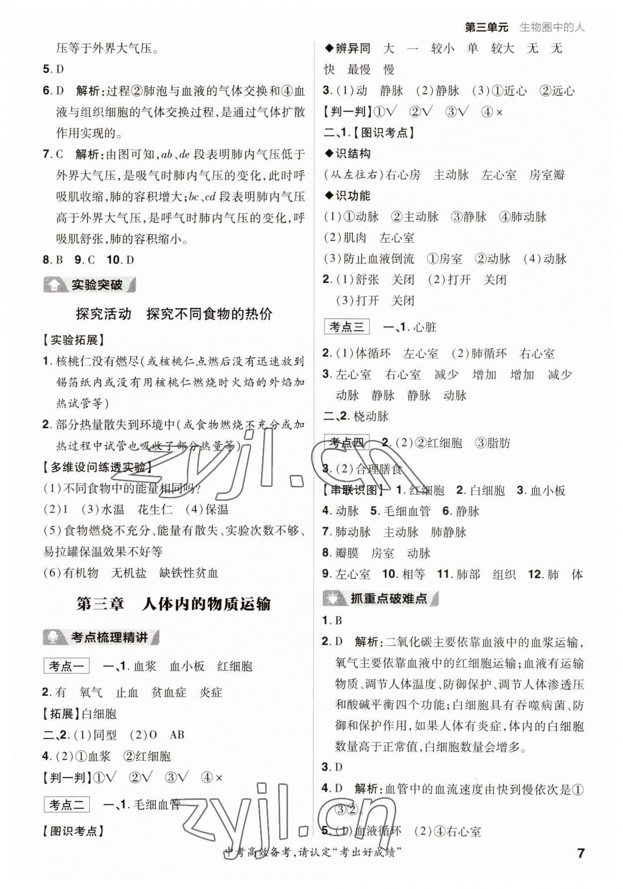 2023年考出好成績中考總復習生物濟南版 參考答案第6頁