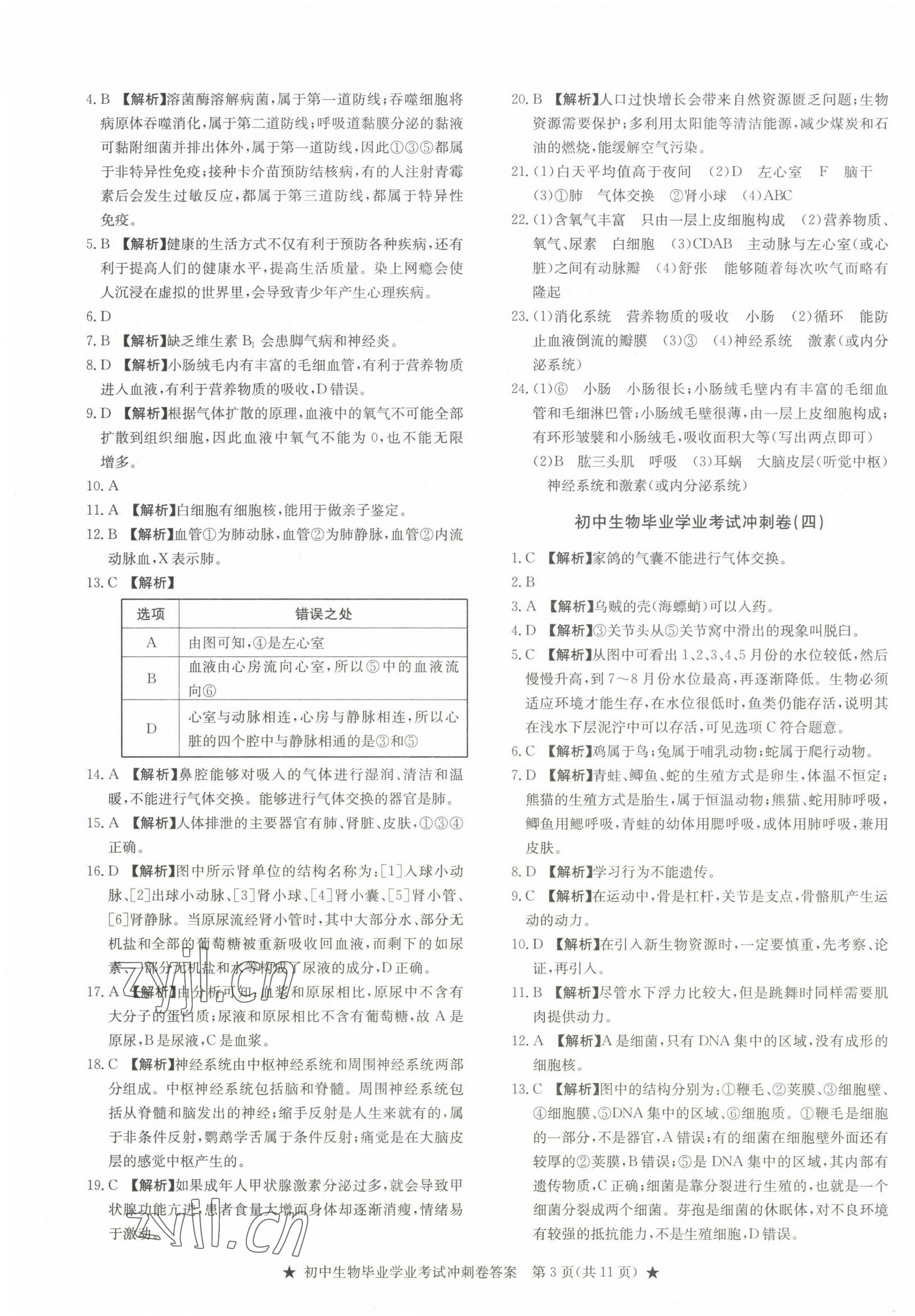 2023年初中毕业学业考试冲刺仿真组合卷冲刺卷生物&nbsp;参考答案第3页