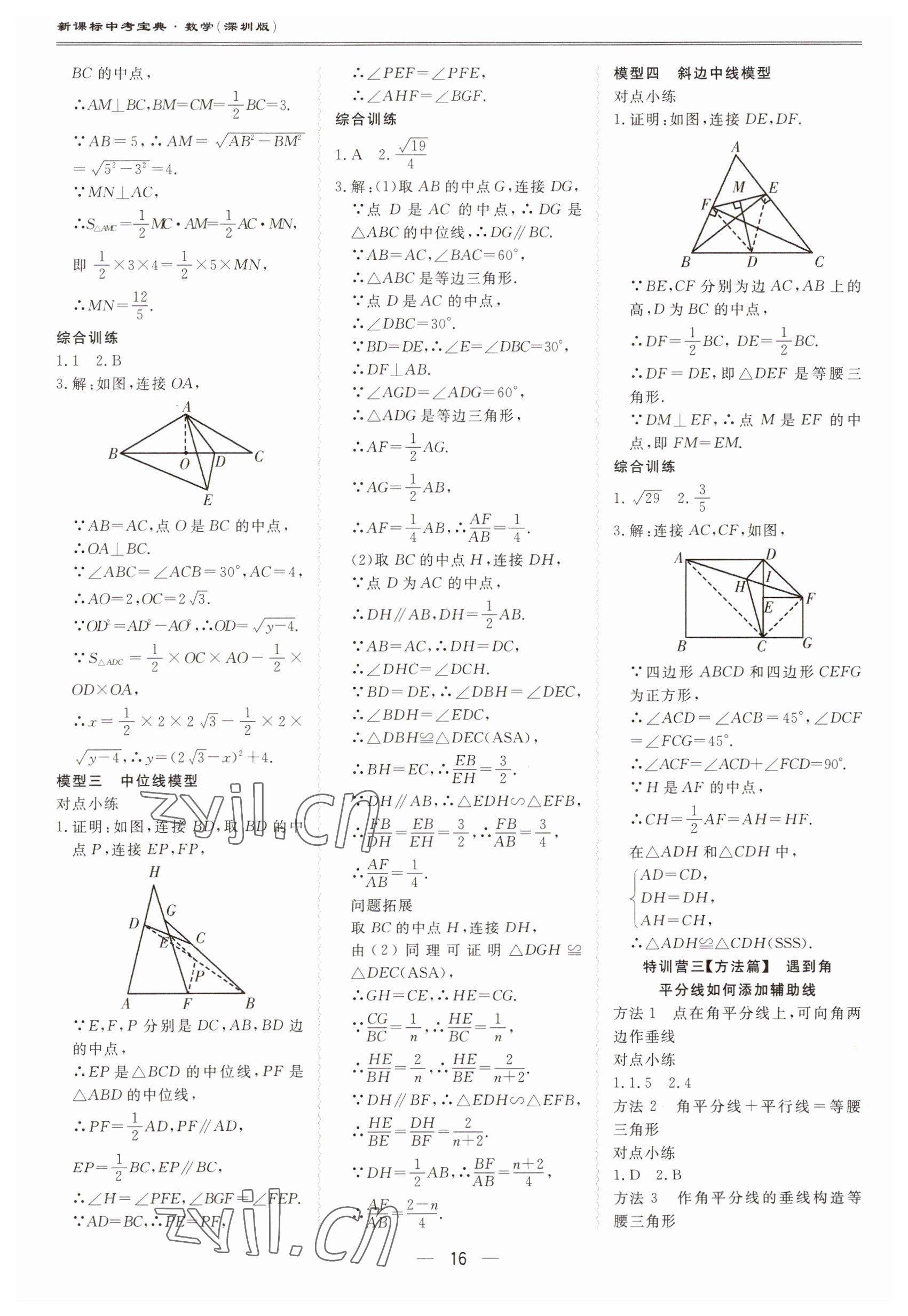 2023年新課標(biāo)中考寶典數(shù)學(xué)深圳專版 第16頁