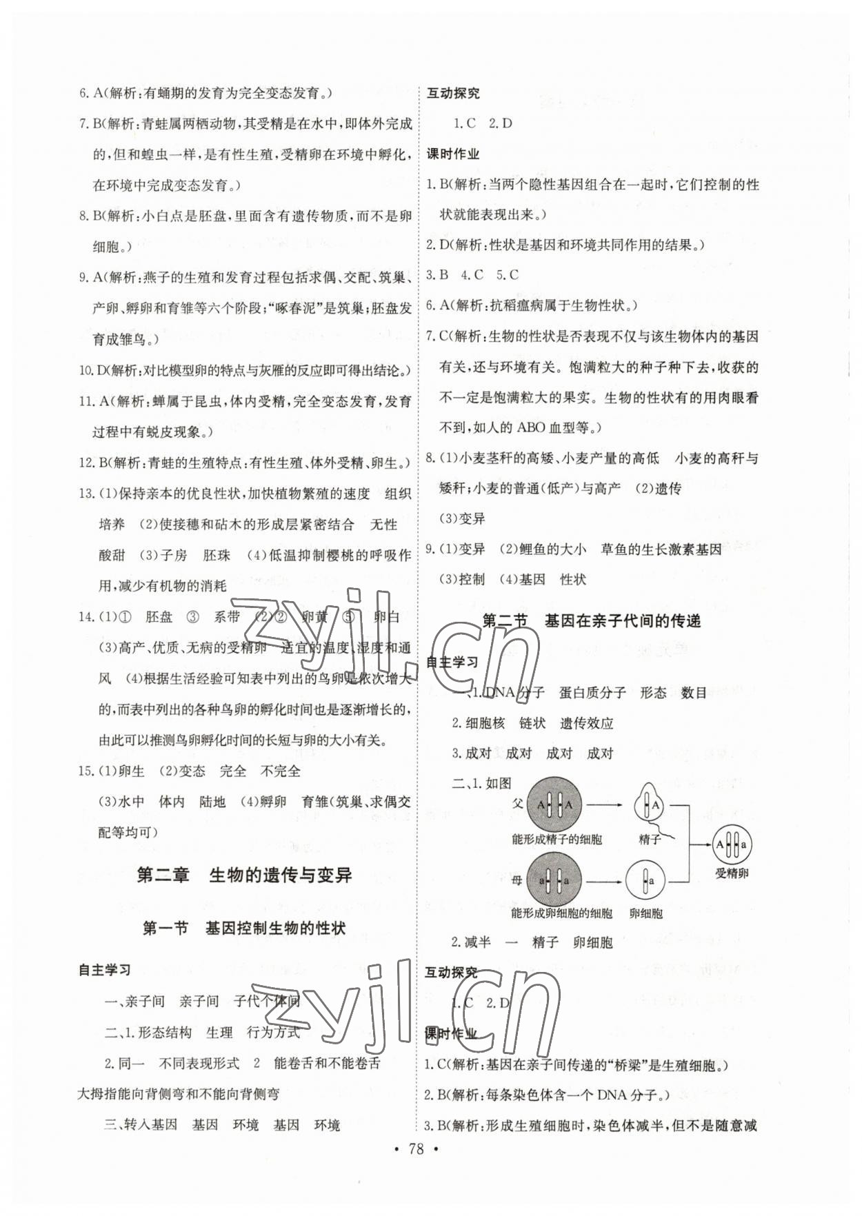 2023年长江全能学案同步练习册八年级生物下册人教版 第4页