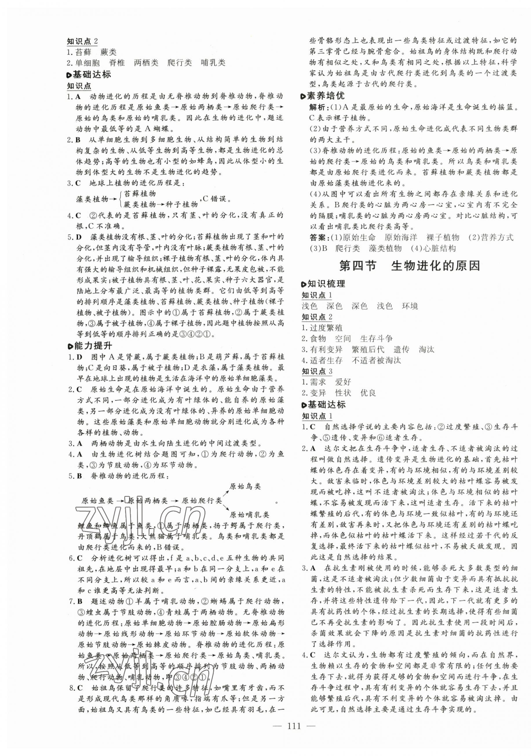 2023年练案八年级生物下册济南版 第3页