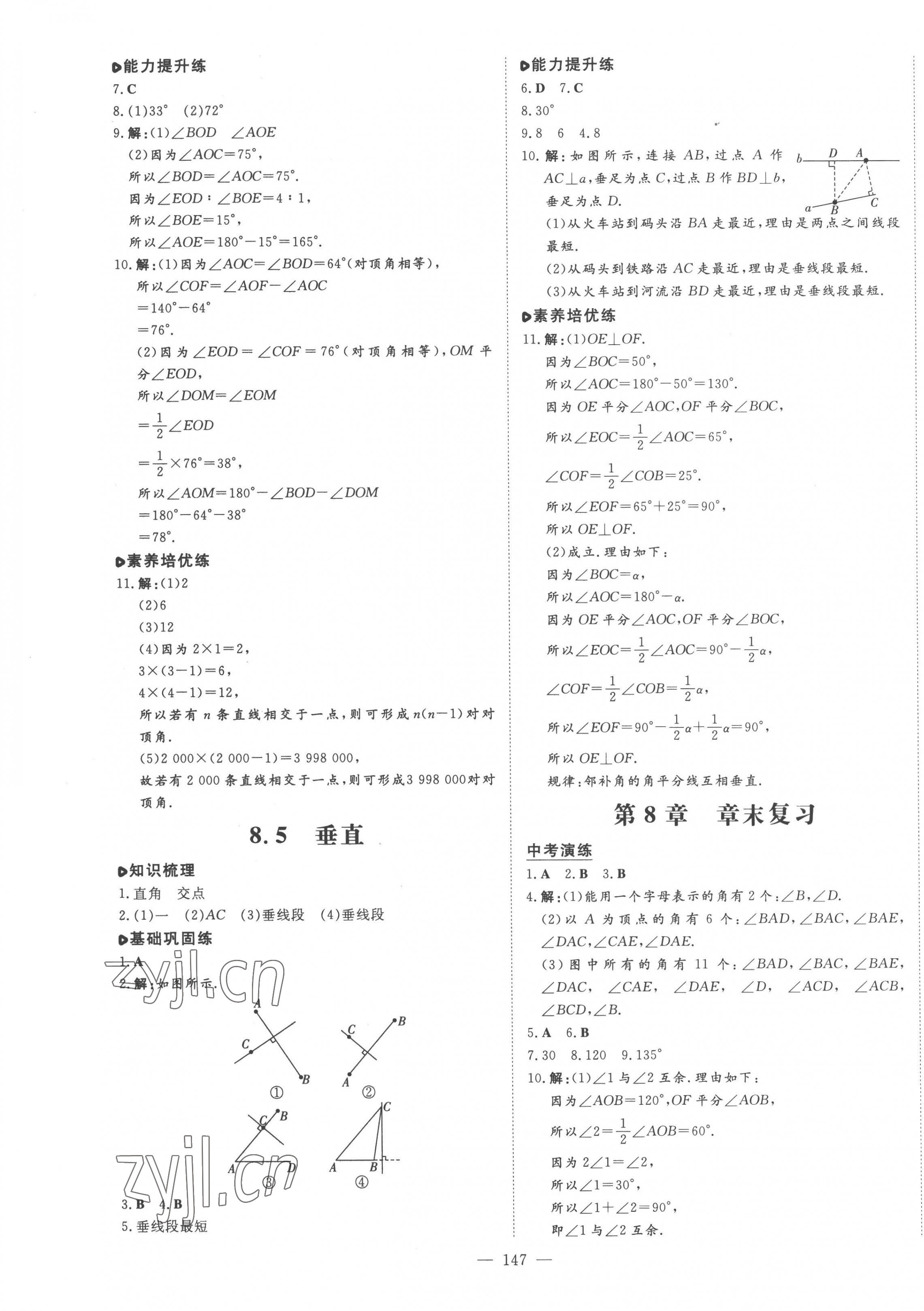 2023年练案七年级数学下册青岛版 第3页