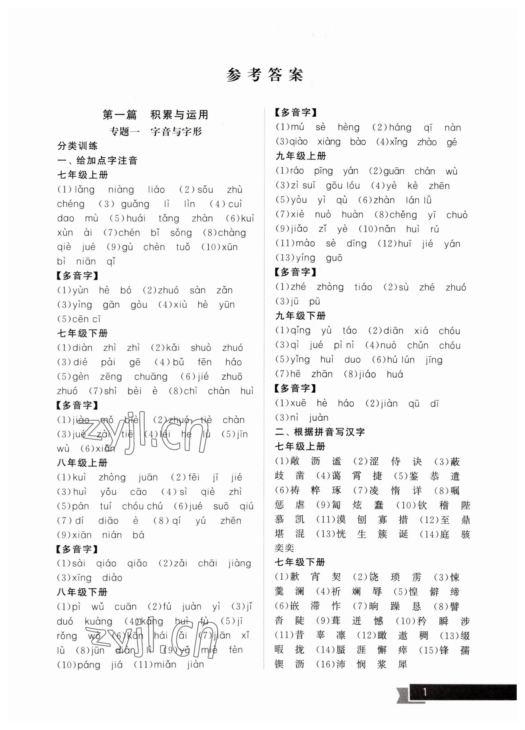 2023年中考提優計劃總復習語文 參考答案第1頁