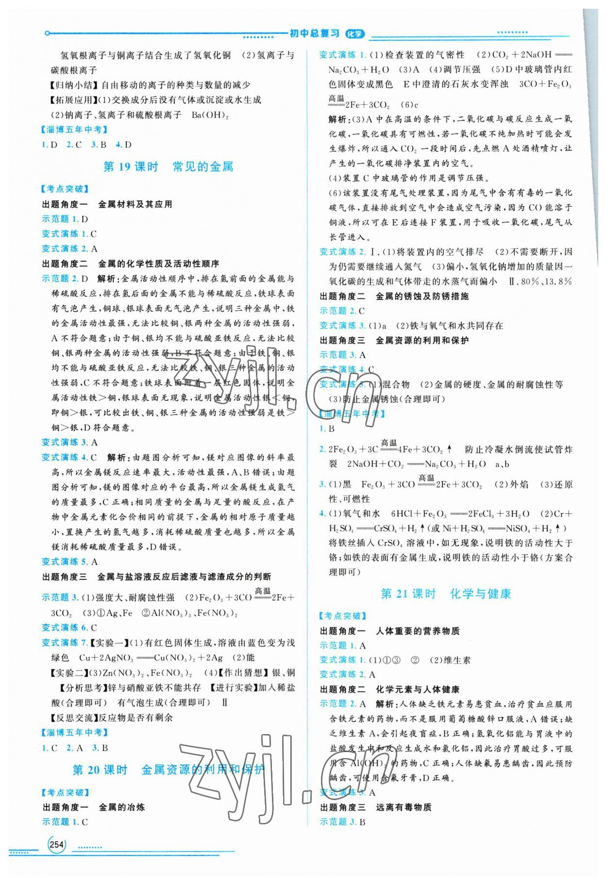 2023年初中總復(fù)習(xí)山東文藝出版社化學(xué)中考淄博專版 第10頁