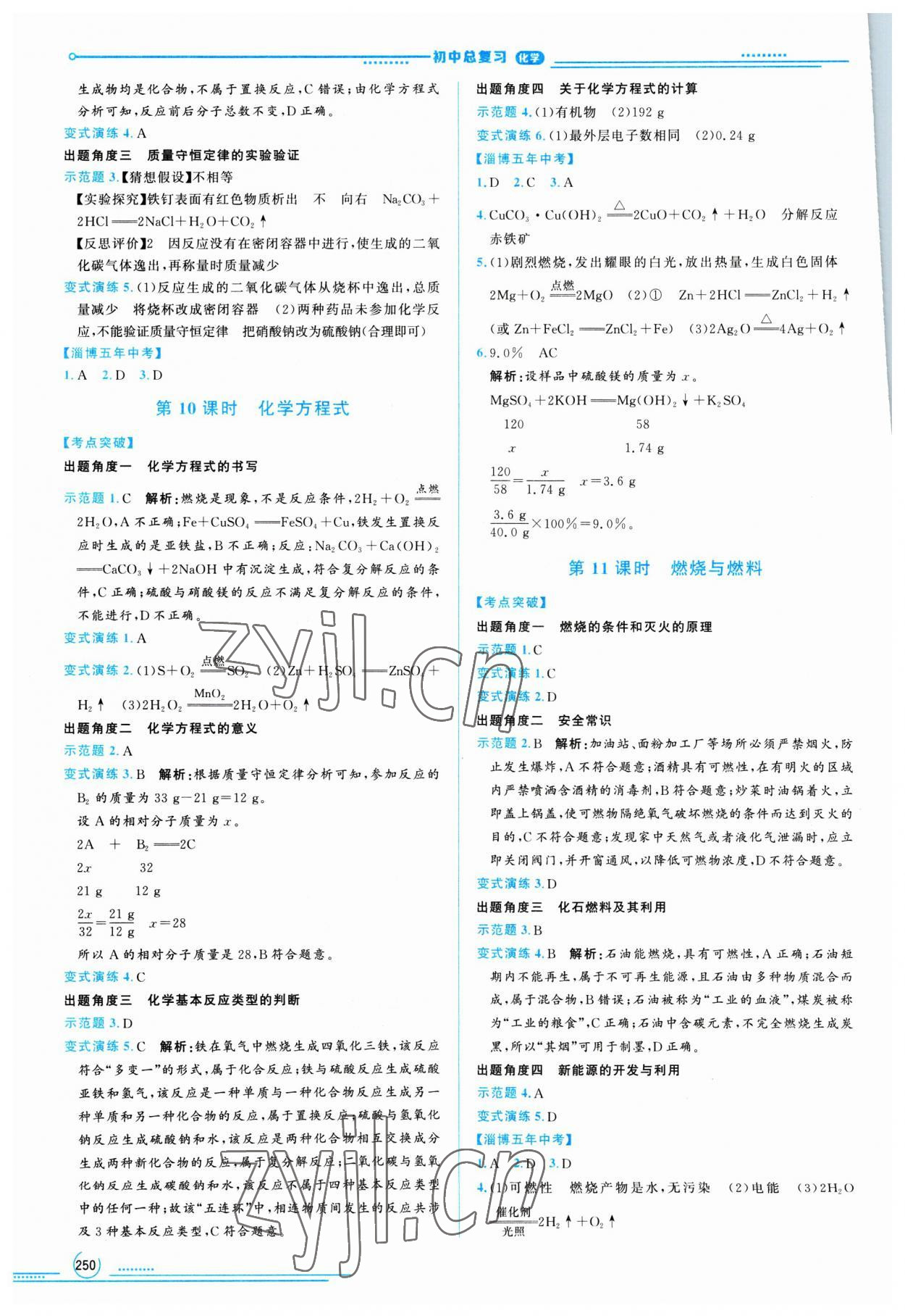 2023年初中總復(fù)習(xí)山東文藝出版社化學(xué)中考淄博專版 第6頁