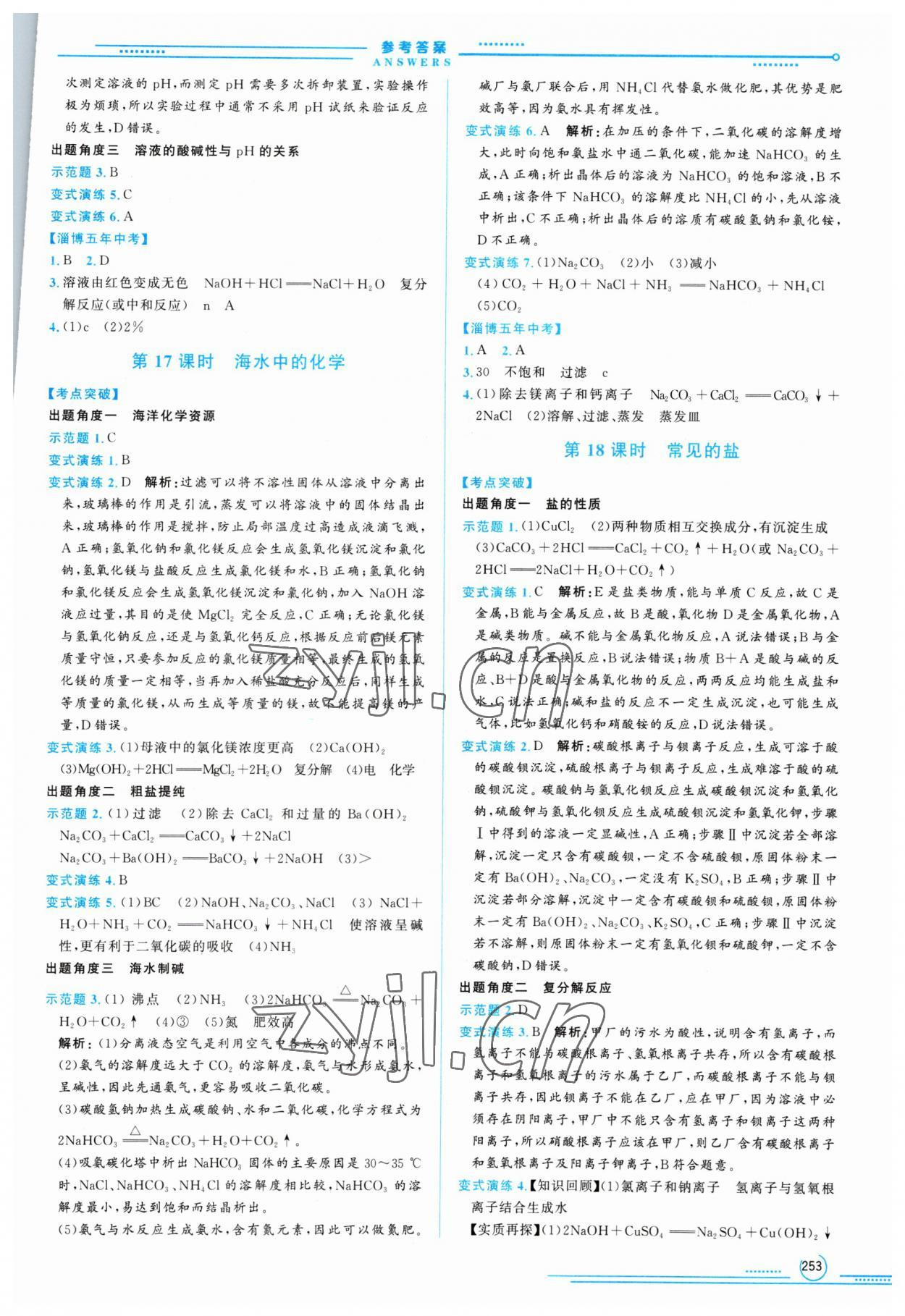 2023年初中總復(fù)習(xí)山東文藝出版社化學(xué)中考淄博專版 第9頁