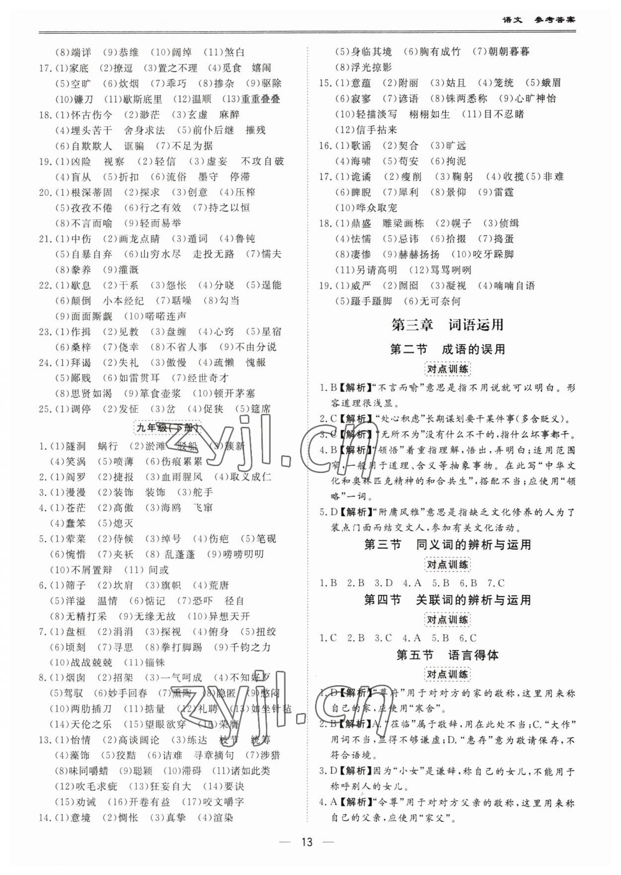 2023年新课标中考宝典语文广东专版 第13页