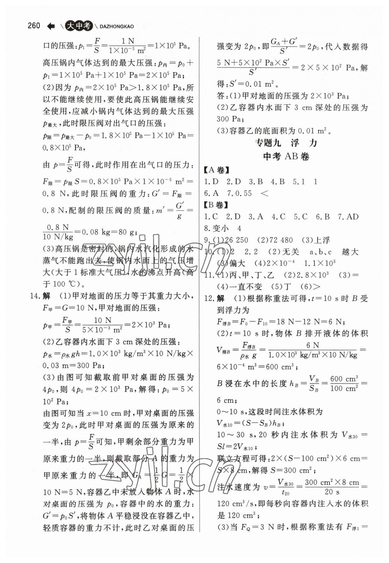 2023年大中考物理 第10頁(yè)