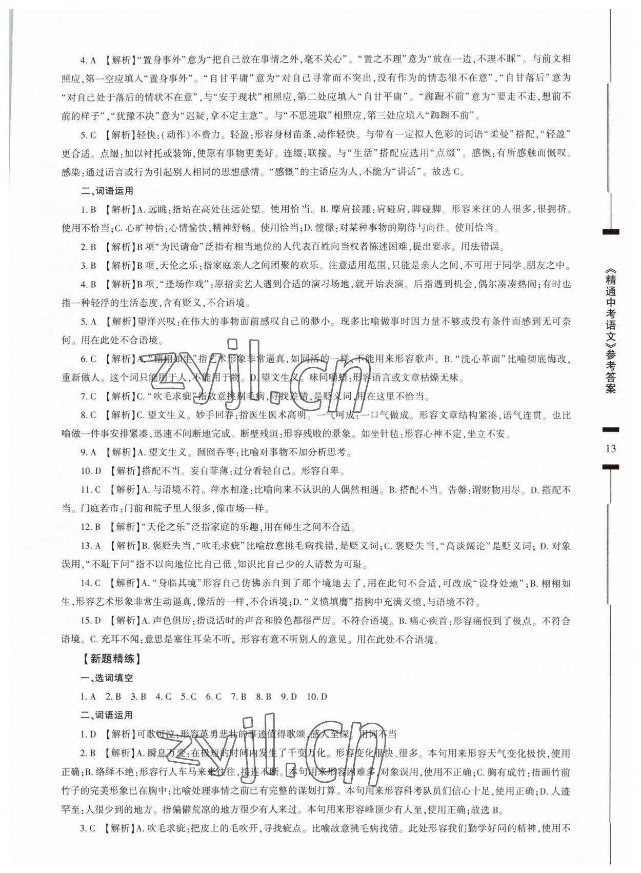 2023年精通中考語文基礎知識與試卷訓練 第13頁