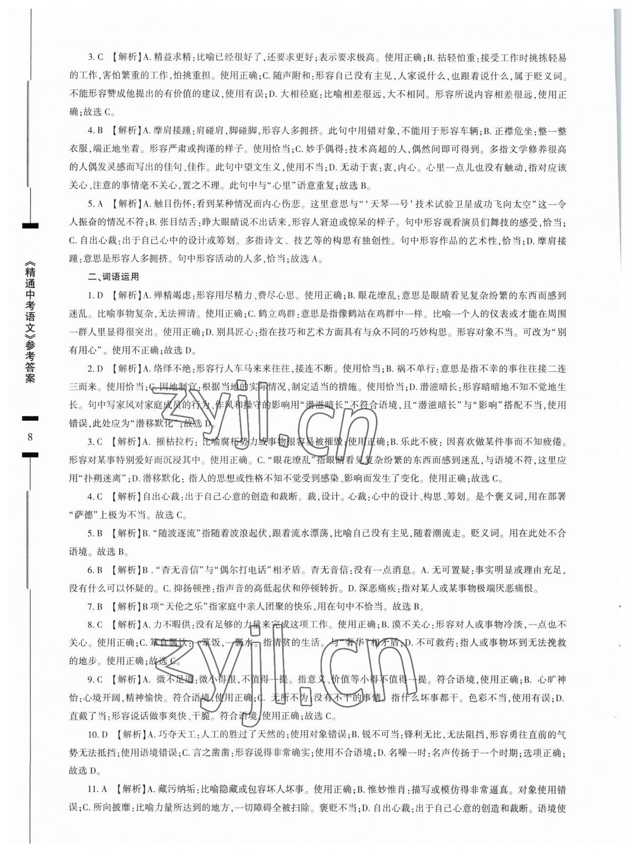 2023年精通中考語文基礎知識與試卷訓練 第8頁