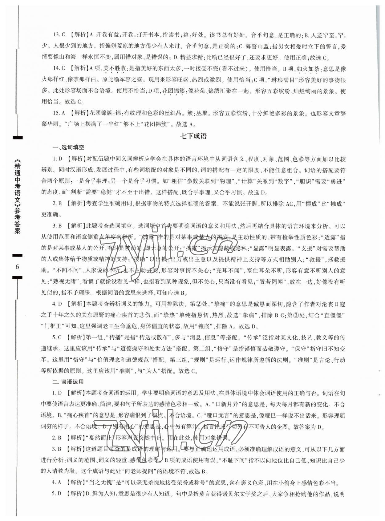 2023年精通中考語文基礎(chǔ)知識與試卷訓(xùn)練 第6頁