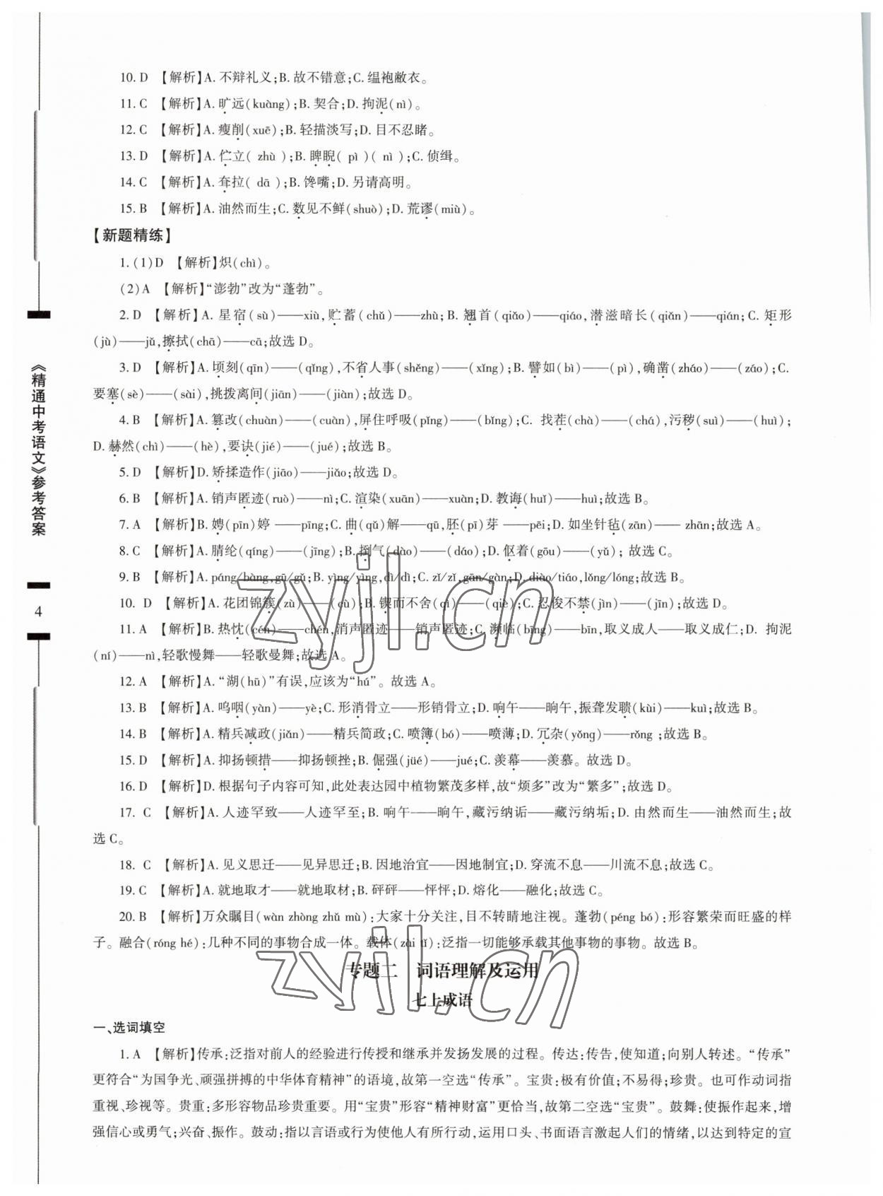 2023年精通中考語文基礎知識與試卷訓練 第4頁