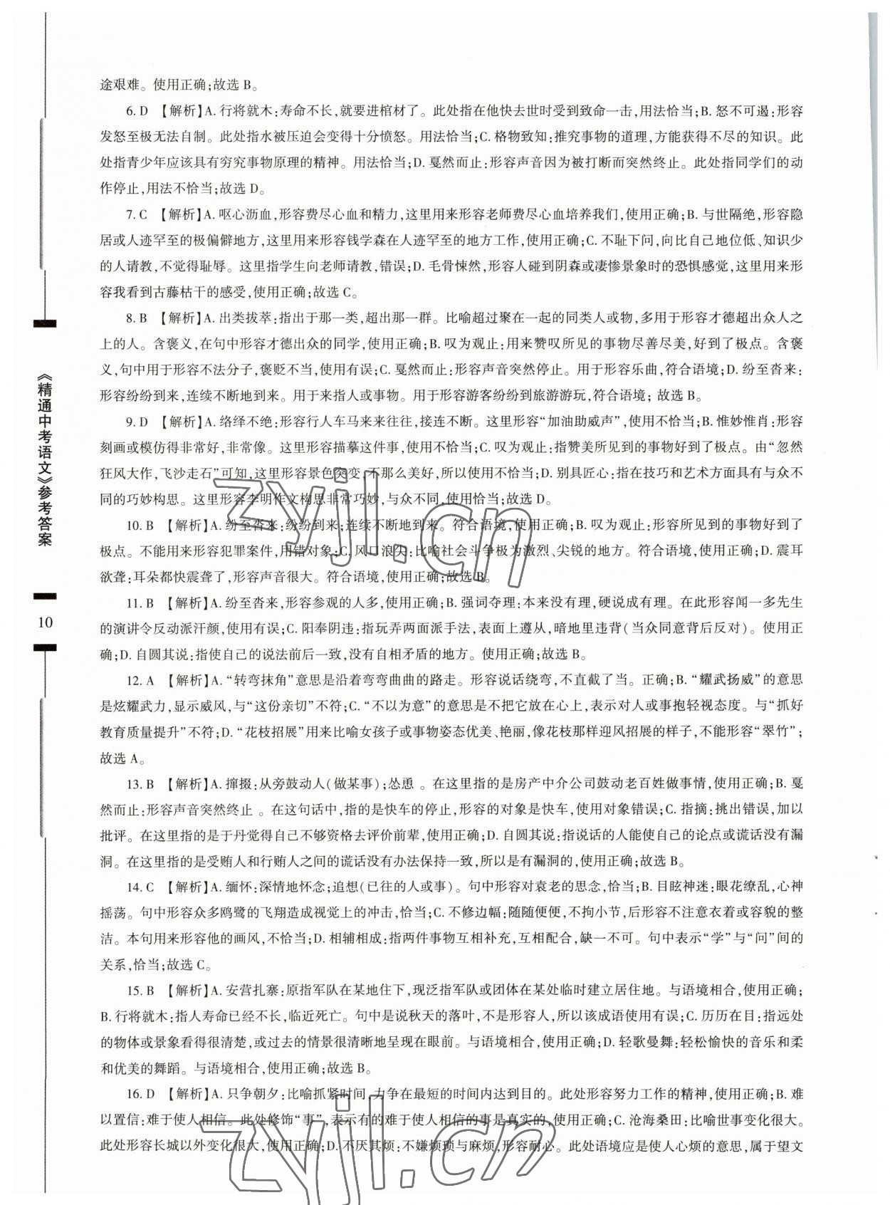 2023年精通中考語文基礎(chǔ)知識與試卷訓(xùn)練 第10頁