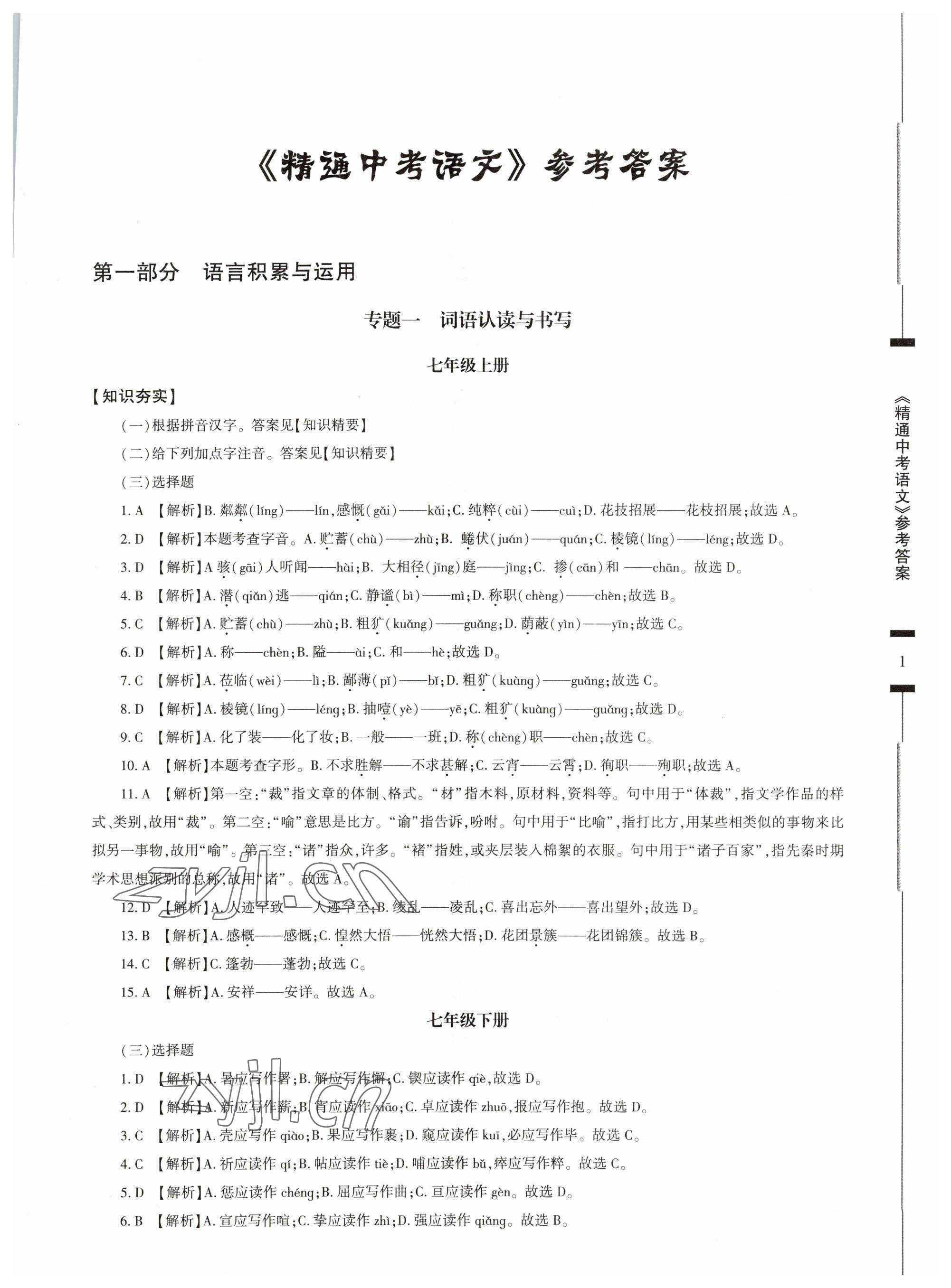 2023年精通中考語文基礎(chǔ)知識與試卷訓(xùn)練 第1頁