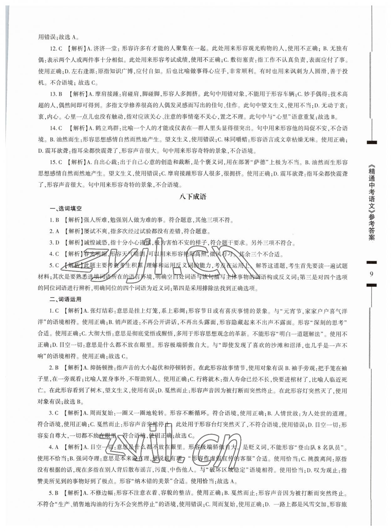 2023年精通中考語文基礎(chǔ)知識與試卷訓練 第9頁