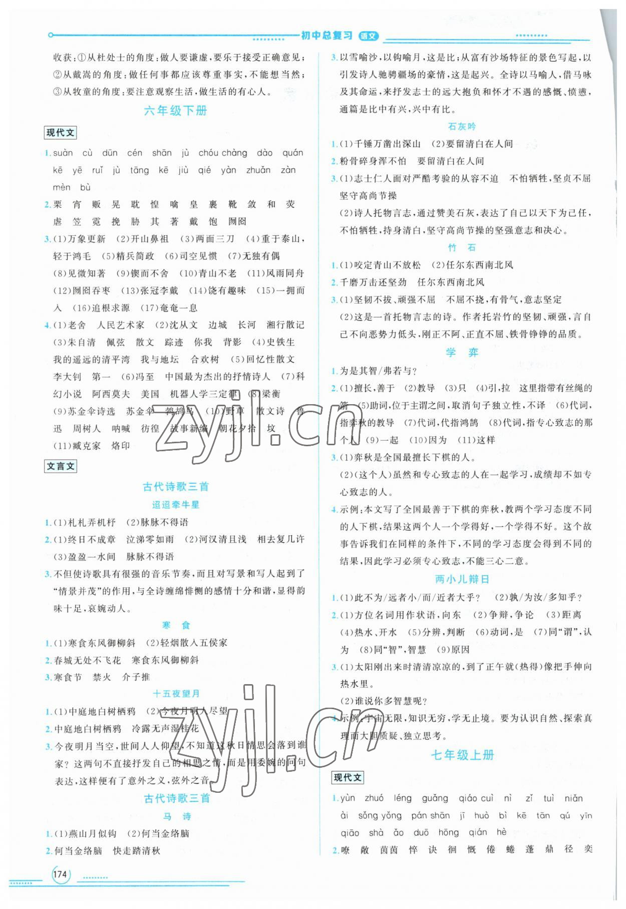 2023年初中總復(fù)習(xí)山東文藝出版社語文中考淄博專版 第2頁