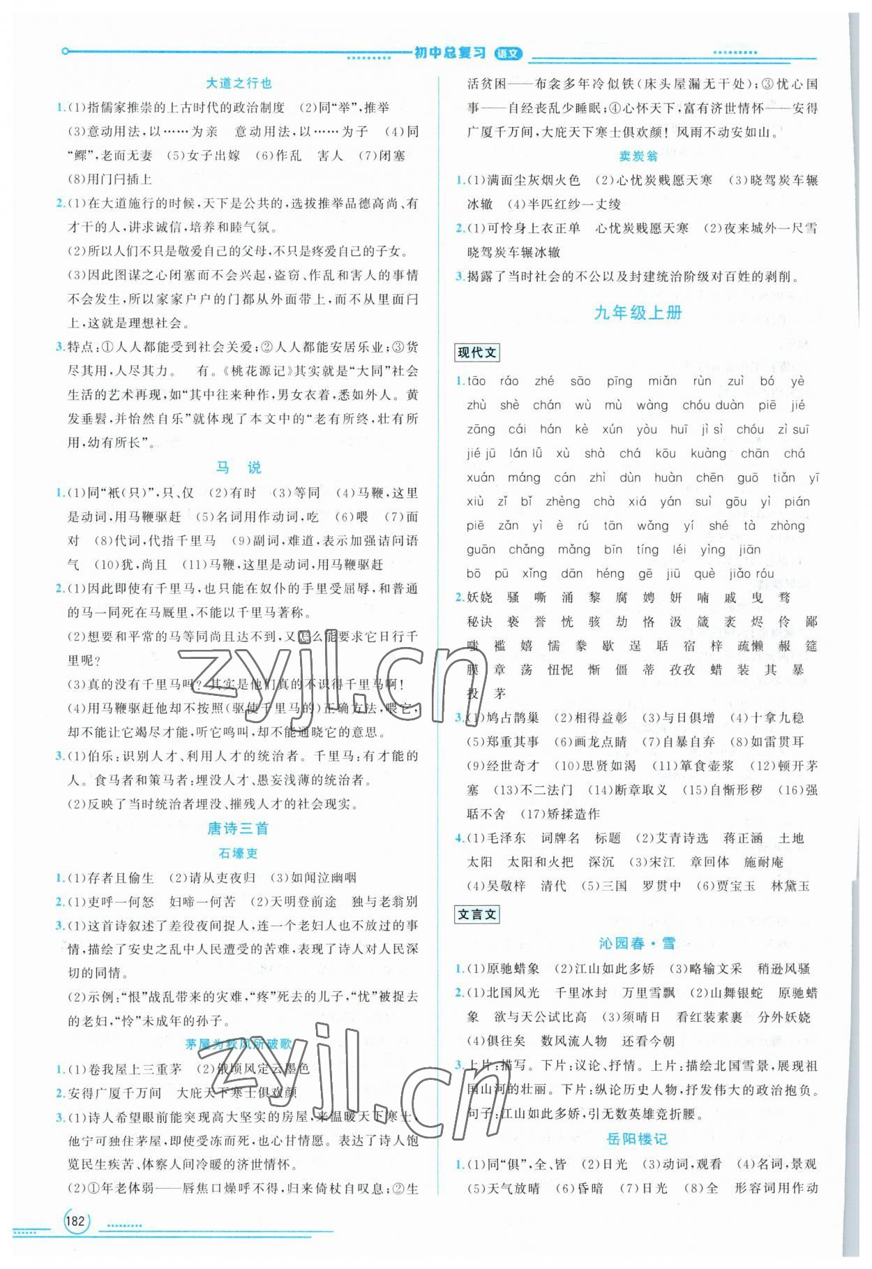 2023年初中總復(fù)習(xí)山東文藝出版社語文中考淄博專版 第10頁