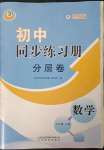 2023年同步練習(xí)冊分層卷六年級數(shù)學(xué)下冊魯教版54制