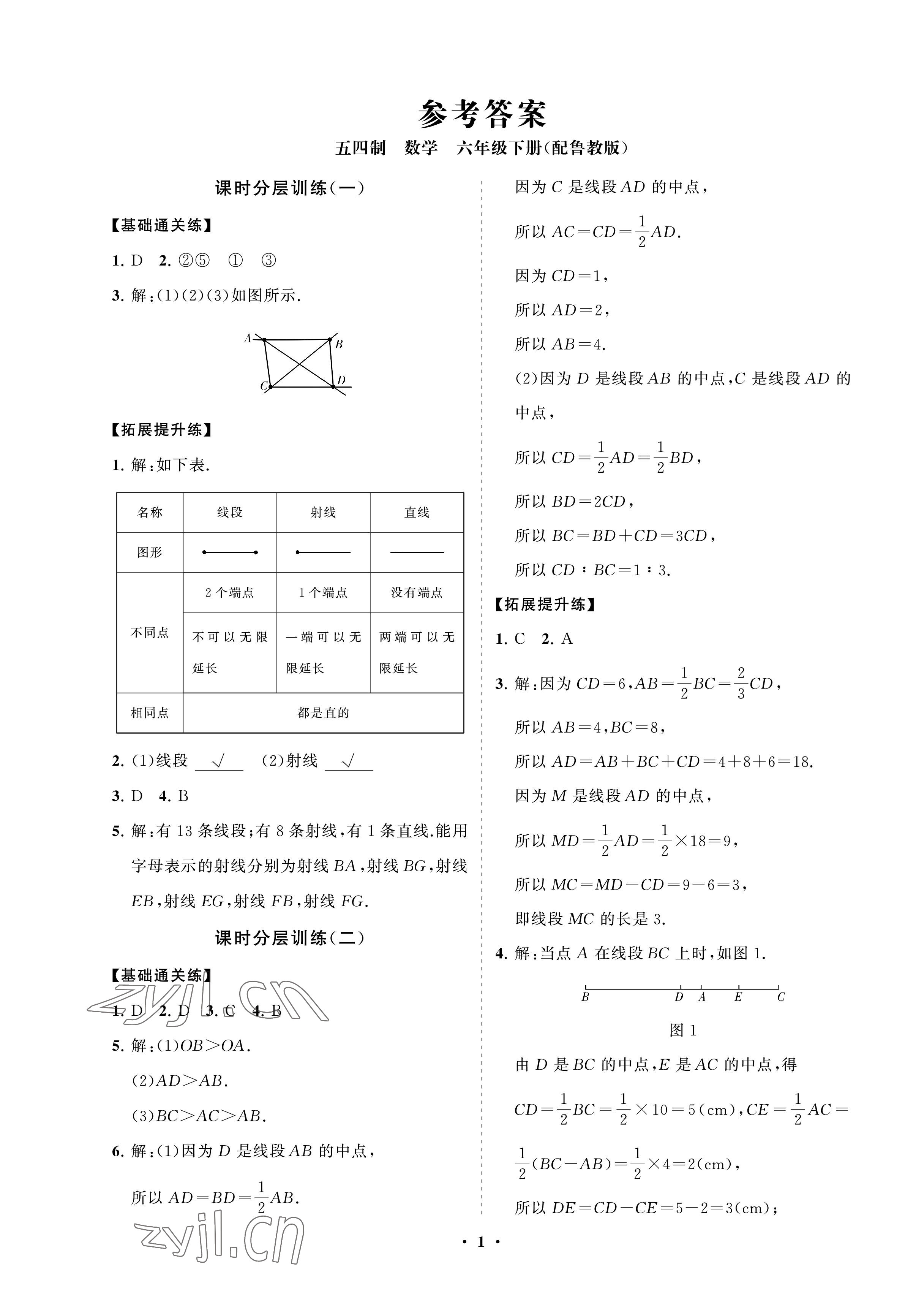 2023年同步練習(xí)冊分層卷六年級(jí)數(shù)學(xué)下冊魯教版54制 參考答案第1頁