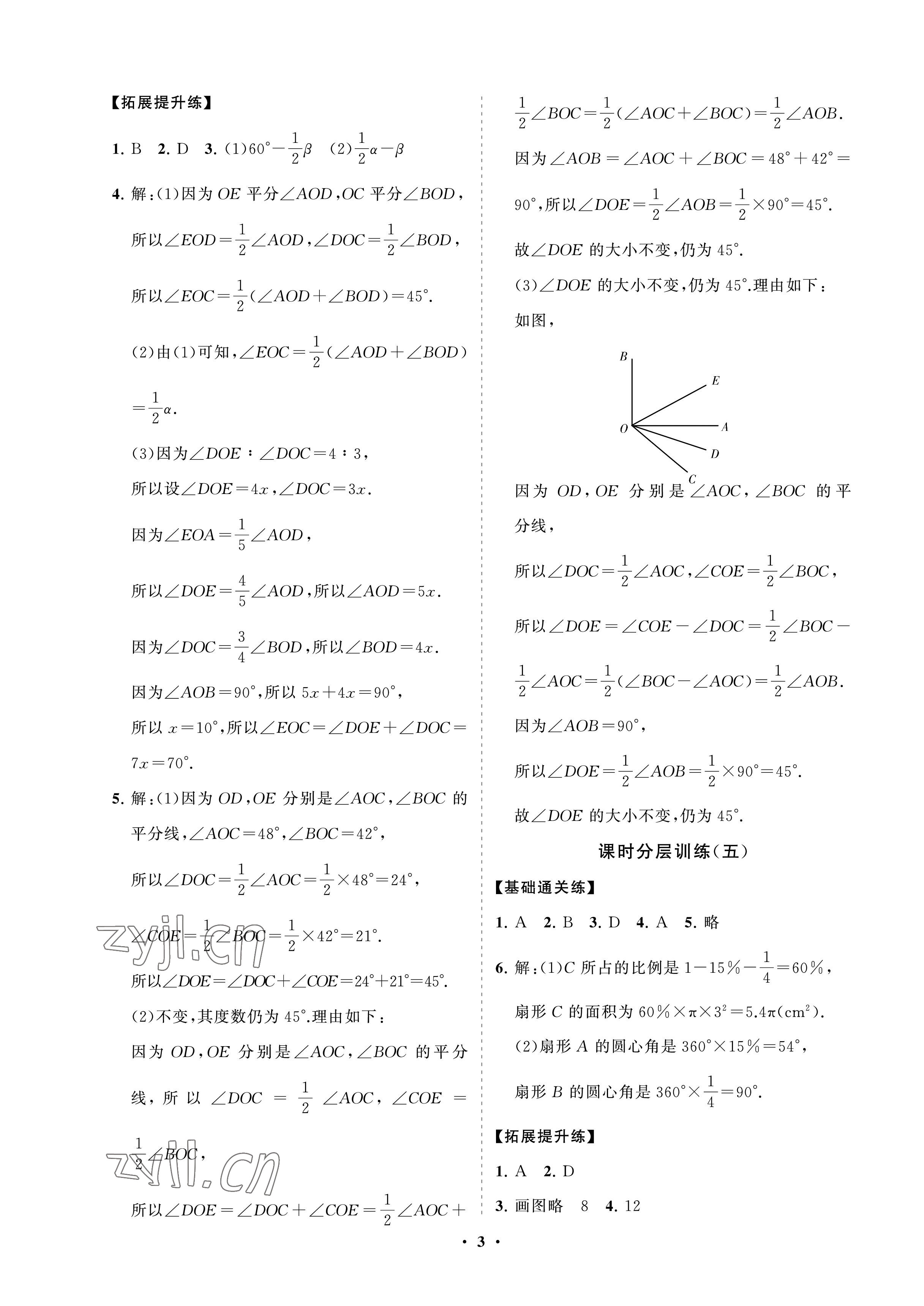 2023年同步練習(xí)冊分層卷六年級數(shù)學(xué)下冊魯教版54制 參考答案第3頁