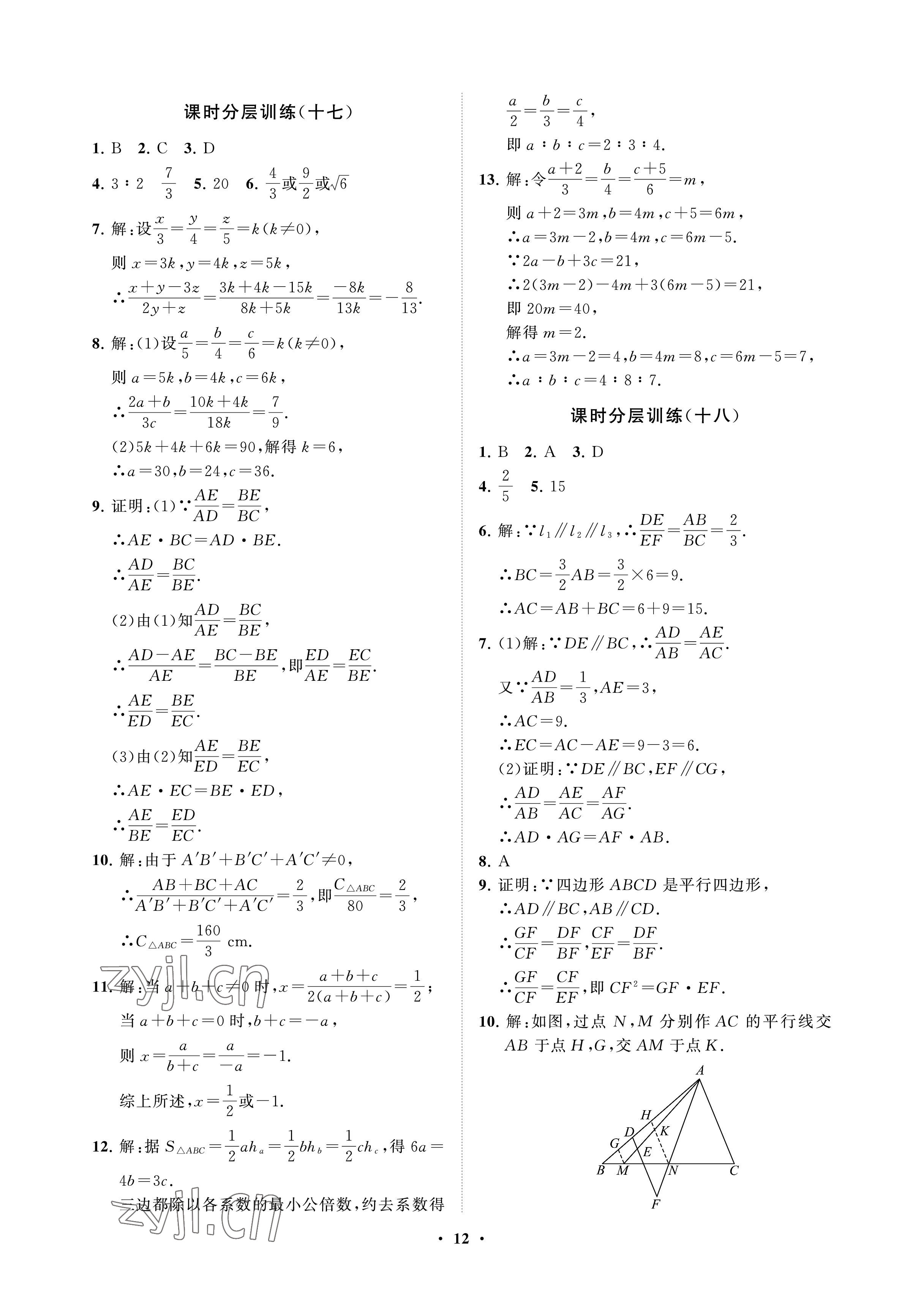 2023年同步练习册分层卷八年级数学下册鲁教版54制 参考答案第12页