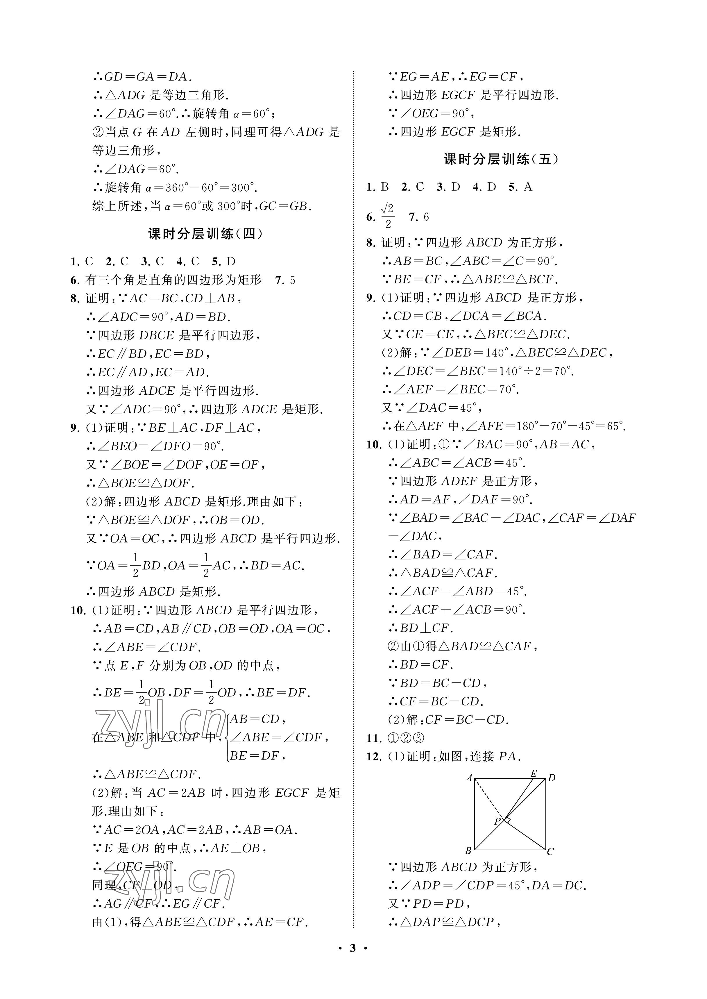 2023年同步練習冊分層卷八年級數學下冊魯教版54制 參考答案第3頁