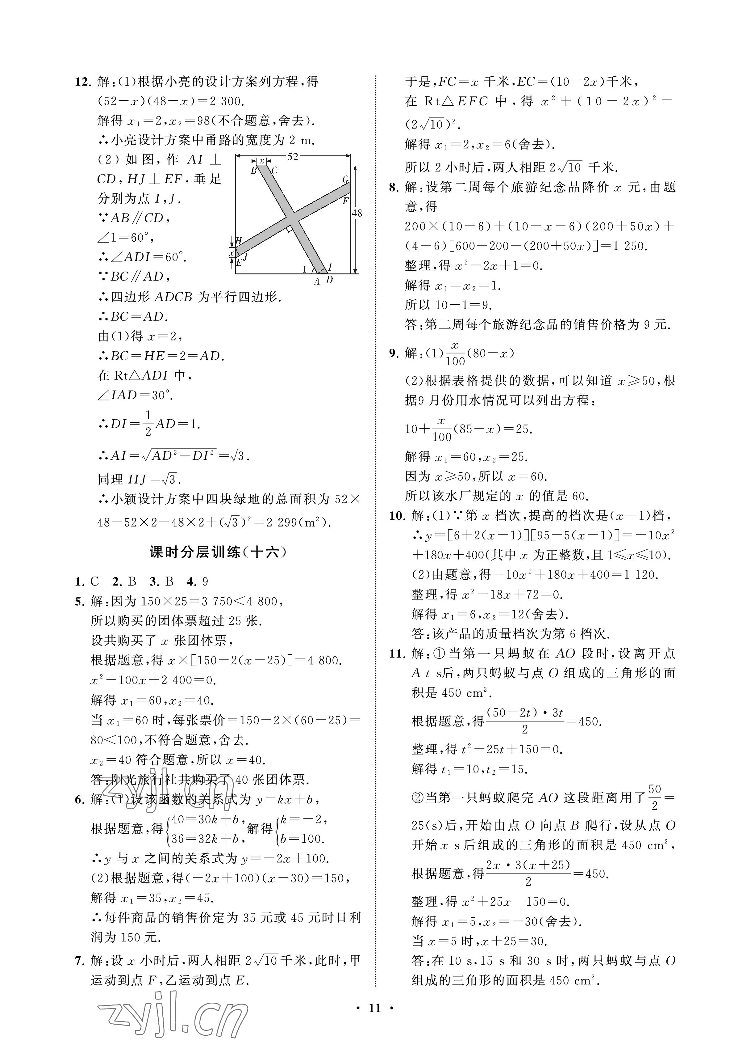 2023年同步练习册分层卷八年级数学下册鲁教版54制 参考答案第11页