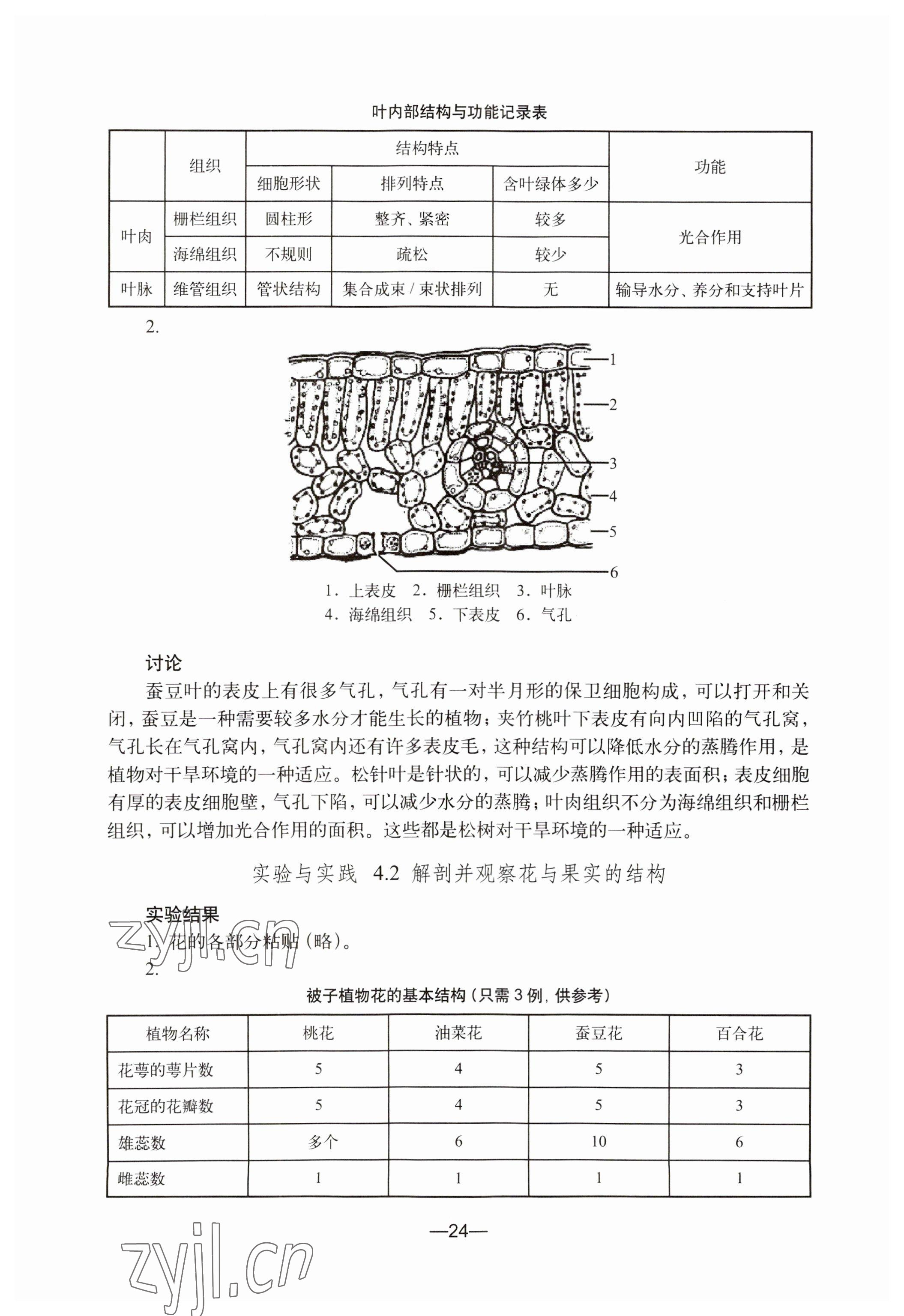 2023年练习部分七年级生命科学第二册沪教版54制 参考答案第4页