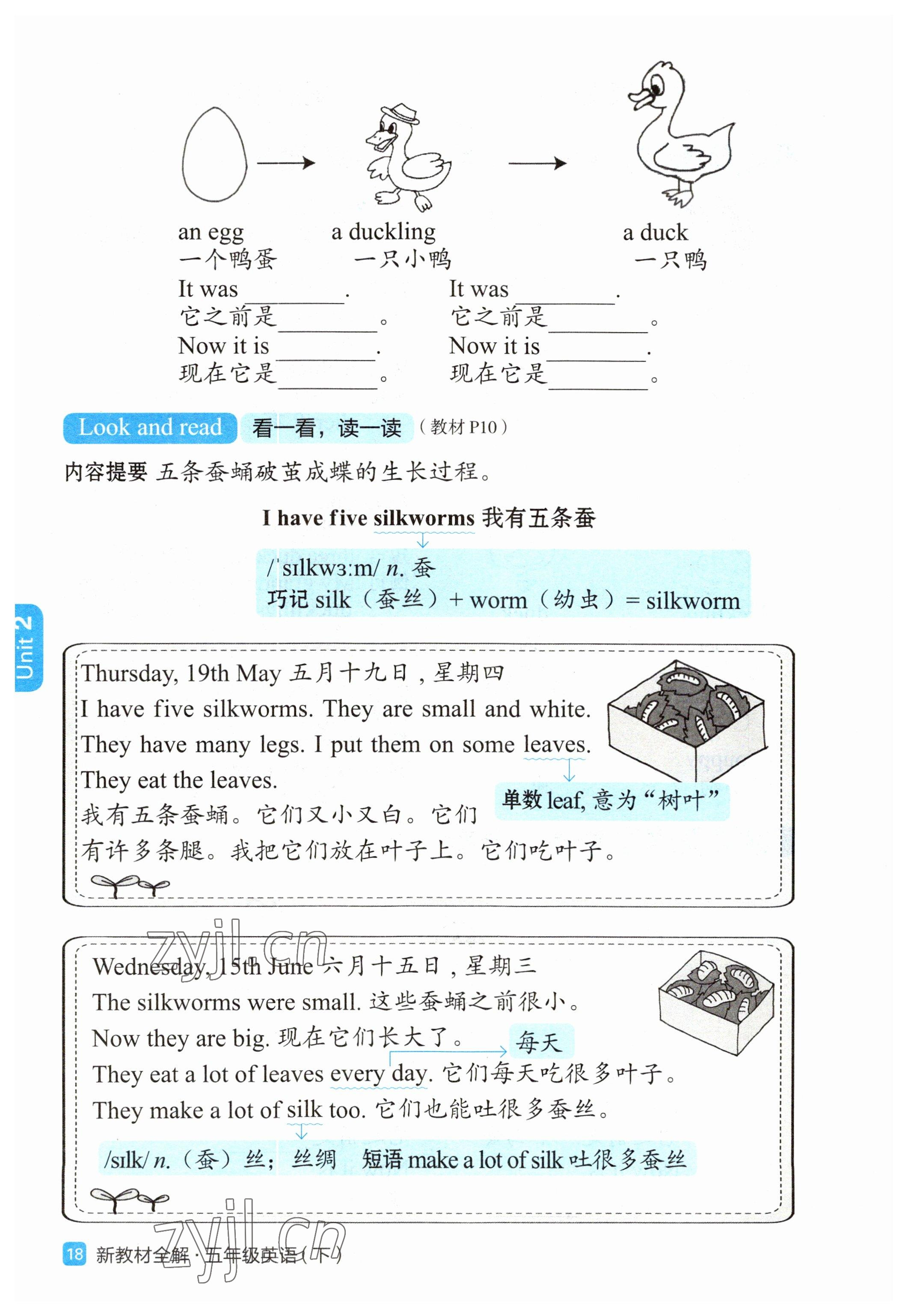 2023年教材課本五年級(jí)英語下冊(cè)滬教版54制 參考答案第14頁