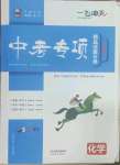 2023年一飛沖天中考專項精品試題分類化學