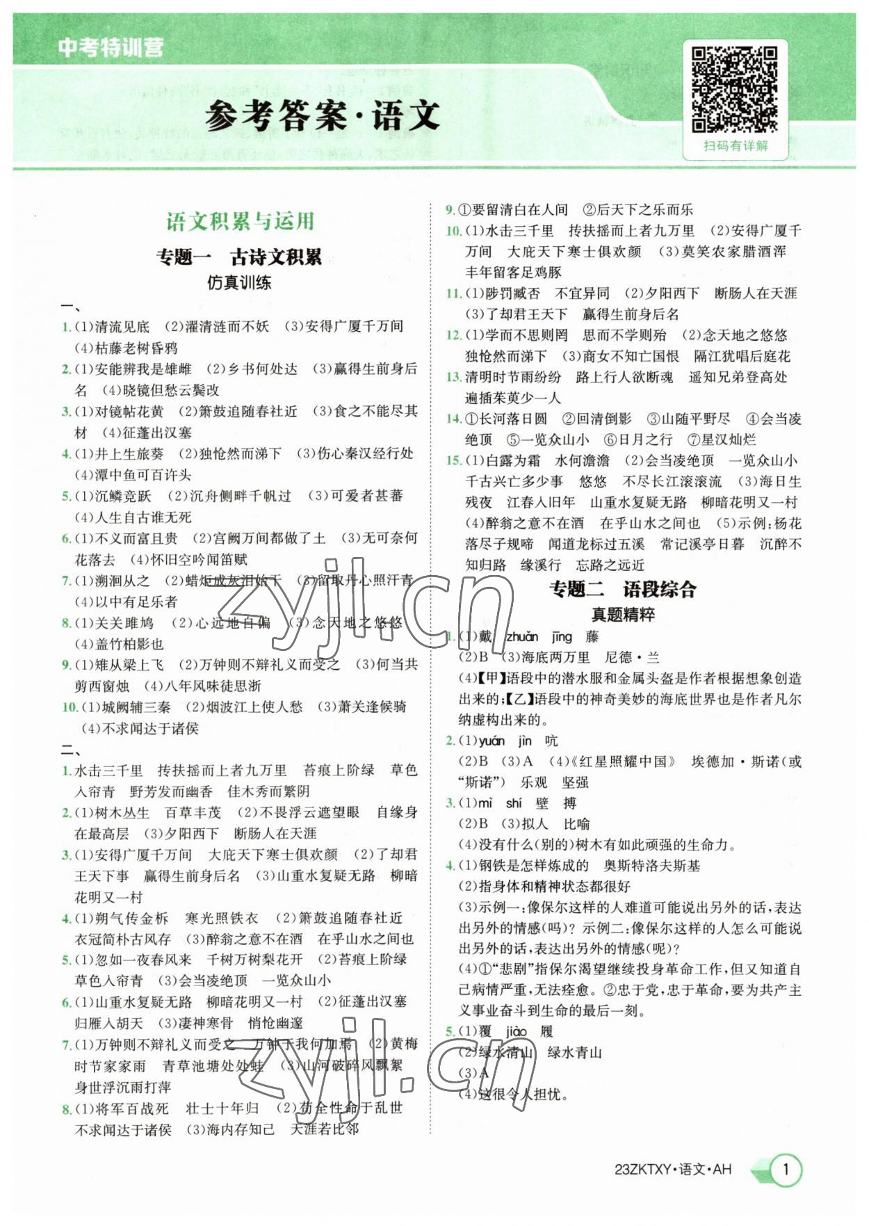 2023年中考特训营语文中考人教版安徽专版 参考答案第1页