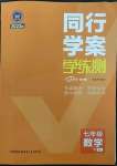 2023年同行學(xué)案學(xué)練測七年級數(shù)學(xué)下冊人教版