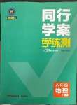 2023年同行學案學練測八年級物理下冊教科版