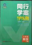 2023年同行學(xué)案學(xué)練測八年級(jí)數(shù)學(xué)下冊(cè)人教版