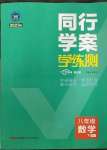 2023年同行学案学练测八年级数学下册北师大版