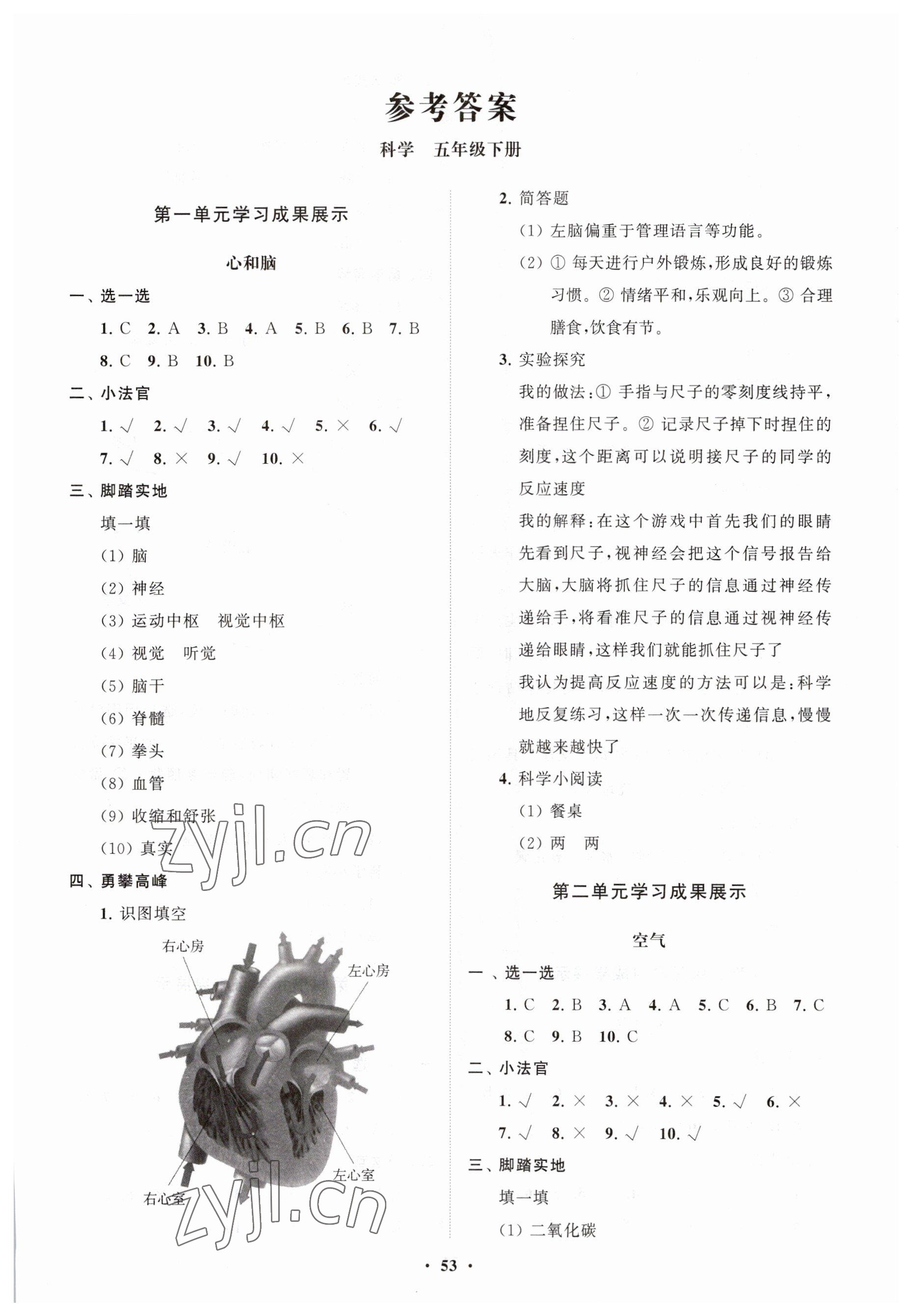 2023年同步练习册分层指导五年级科学下册青岛版 第1页