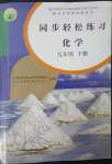 2023年同步轻松练习九年级化学下册人教版