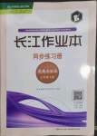 2023年長江作業(yè)本同步練習冊七年級道德與法治下冊人教版