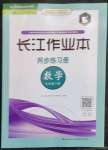 2023年長江作業(yè)本同步練習冊七年級數(shù)學下冊人教版