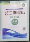 2023年長江作業(yè)本同步練習冊八年級英語下冊人教版