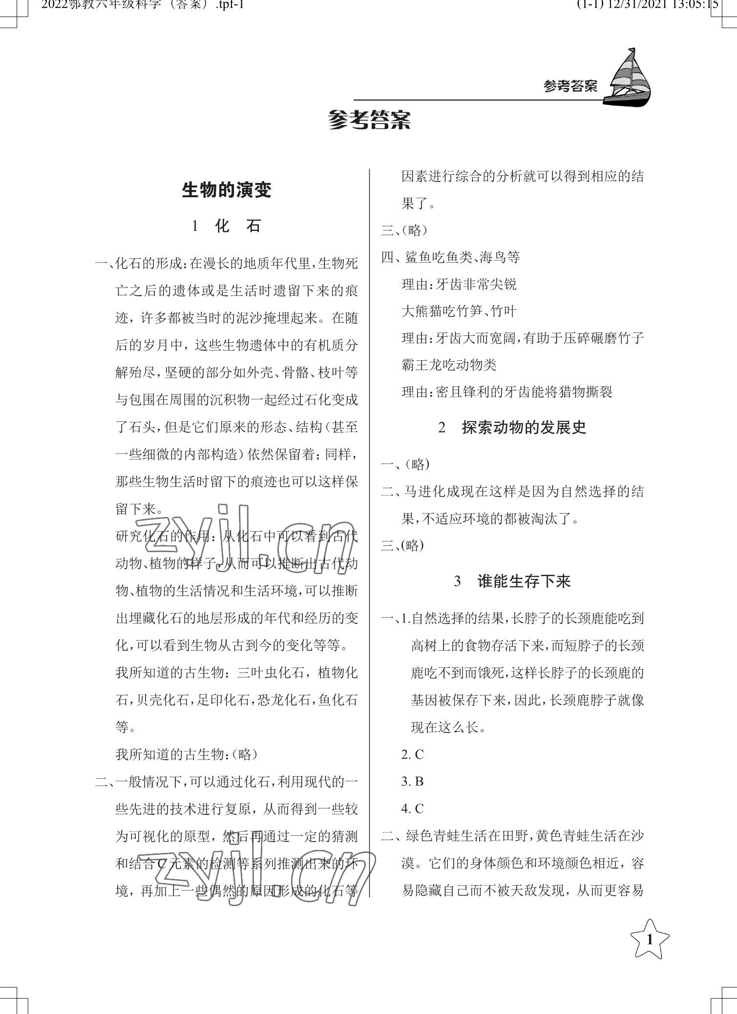 2023年長江作業(yè)本課堂作業(yè)六年級(jí)科學(xué)下冊(cè)鄂教版 參考答案第1頁