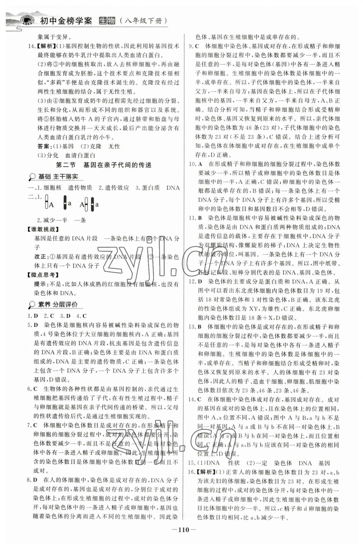 2023年世紀(jì)金榜金榜學(xué)案八年級(jí)生物下冊(cè)人教版河南專版 參考答案第5頁