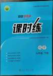 2023年同步導(dǎo)學(xué)案課時(shí)練九年級(jí)化學(xué)下冊(cè)人教版