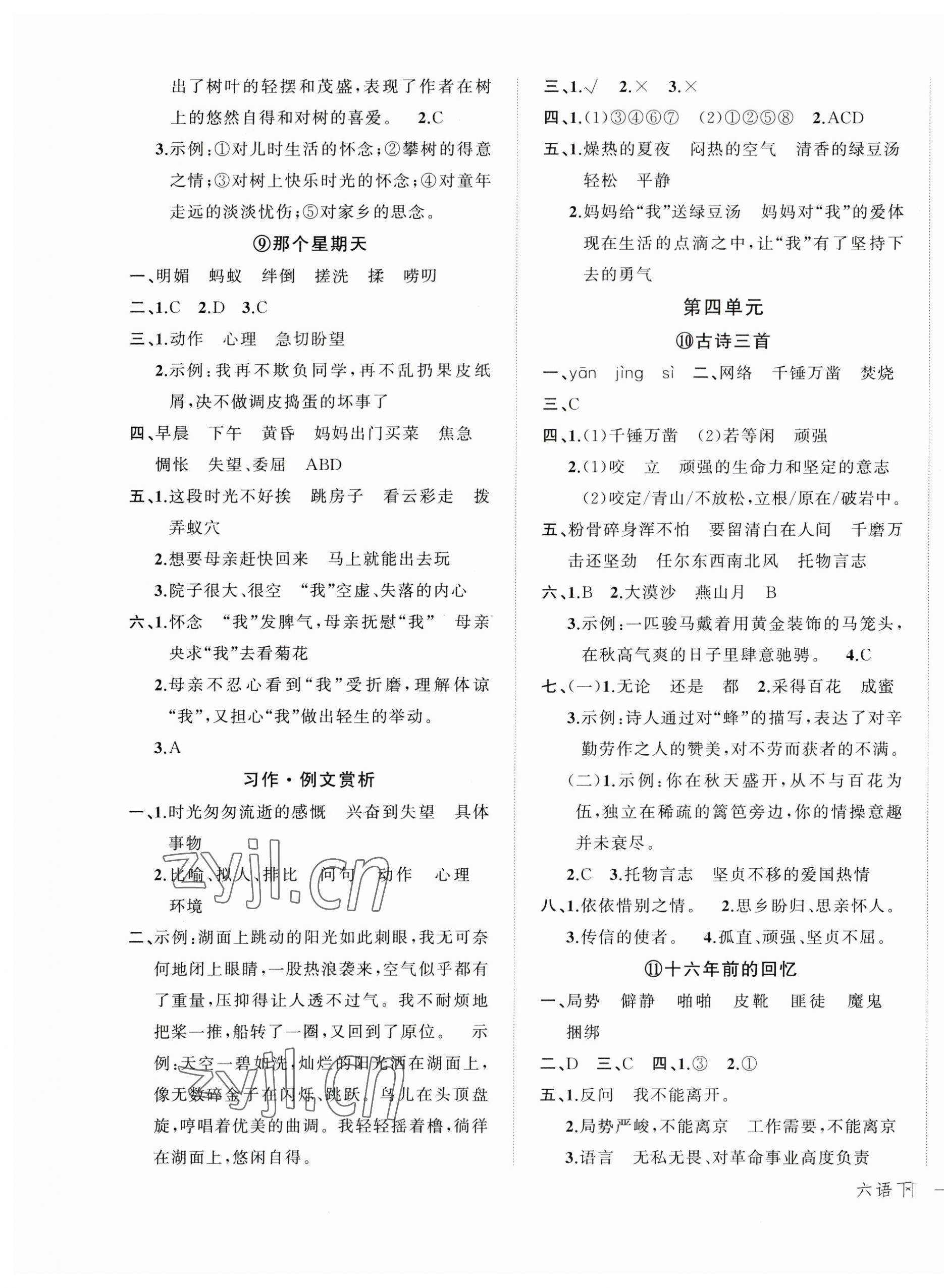 2023年名師面對面先學后練六年級語文下冊人教版 參考答案第5頁