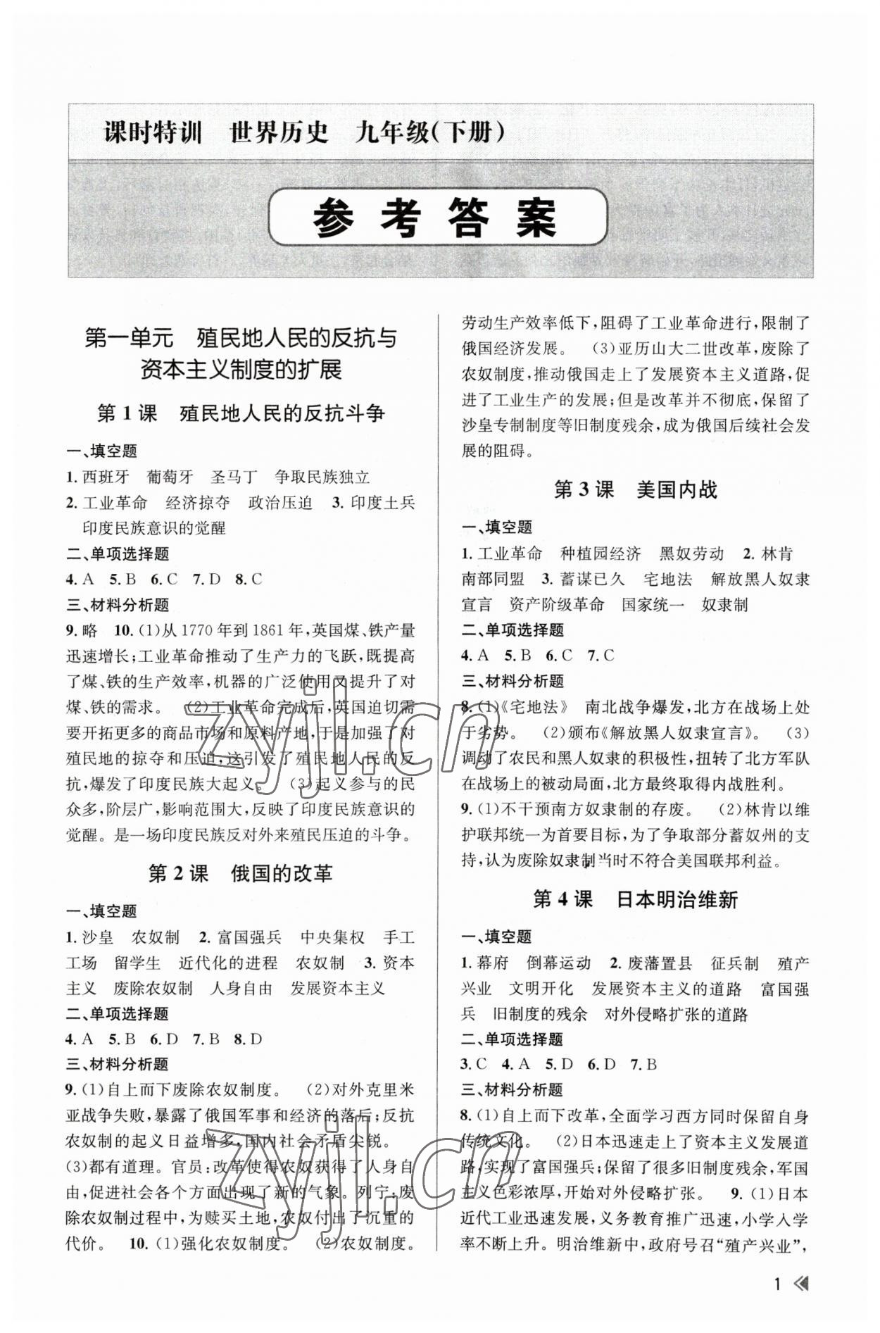 2023年浙江新课程三维目标测评课时特训九年级历史下册人教版 第1页